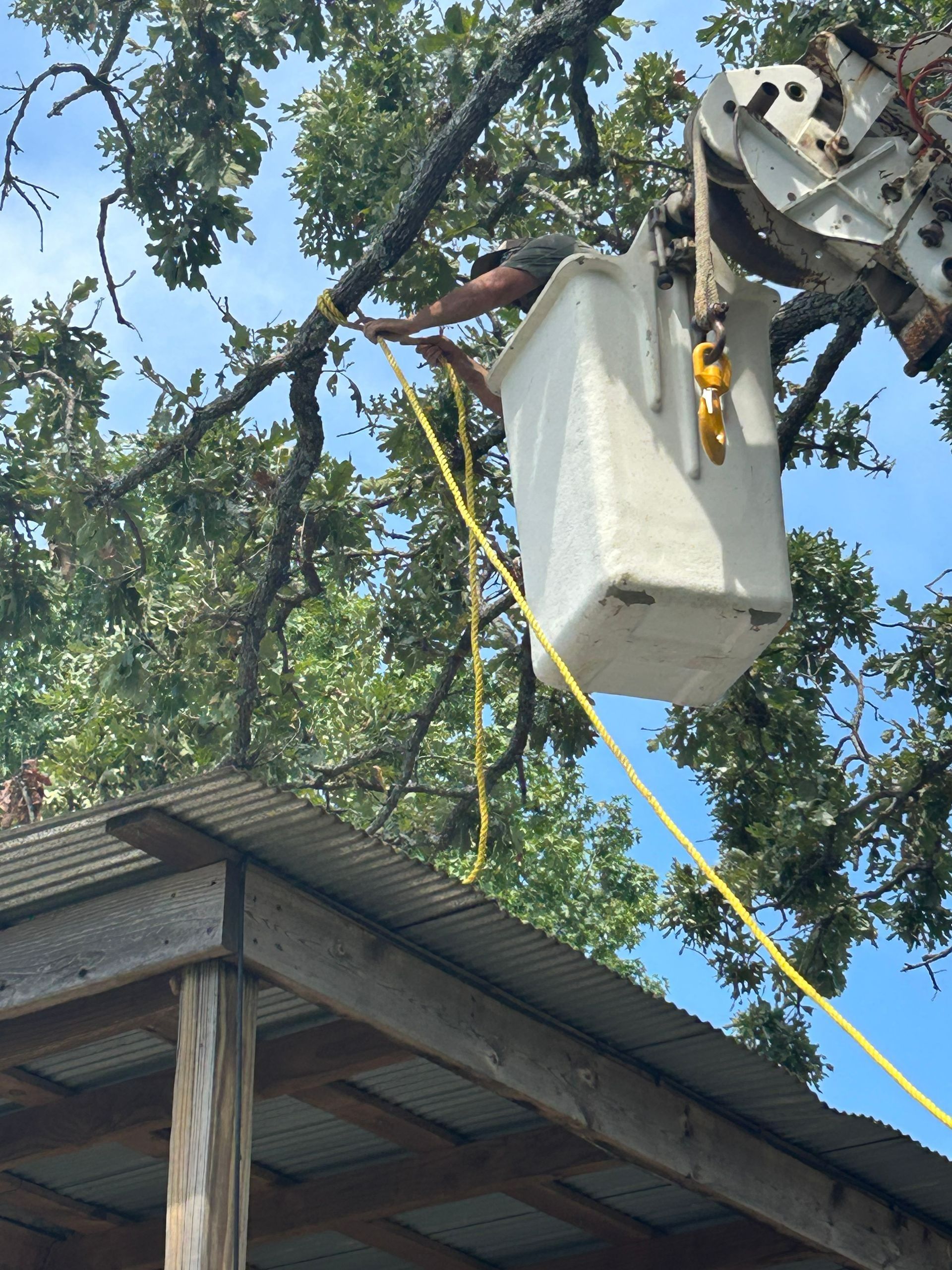 Person in a bucket lift trimming a tree branch near a building with a corrugated metal roof.