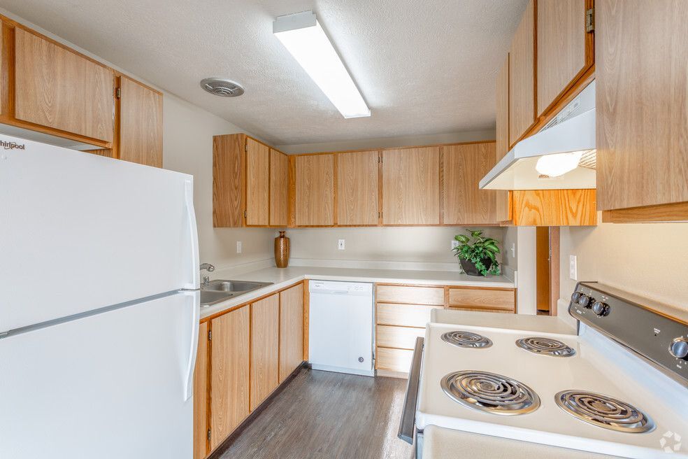 A kitchen with a stove , refrigerator , dishwasher and sink.
