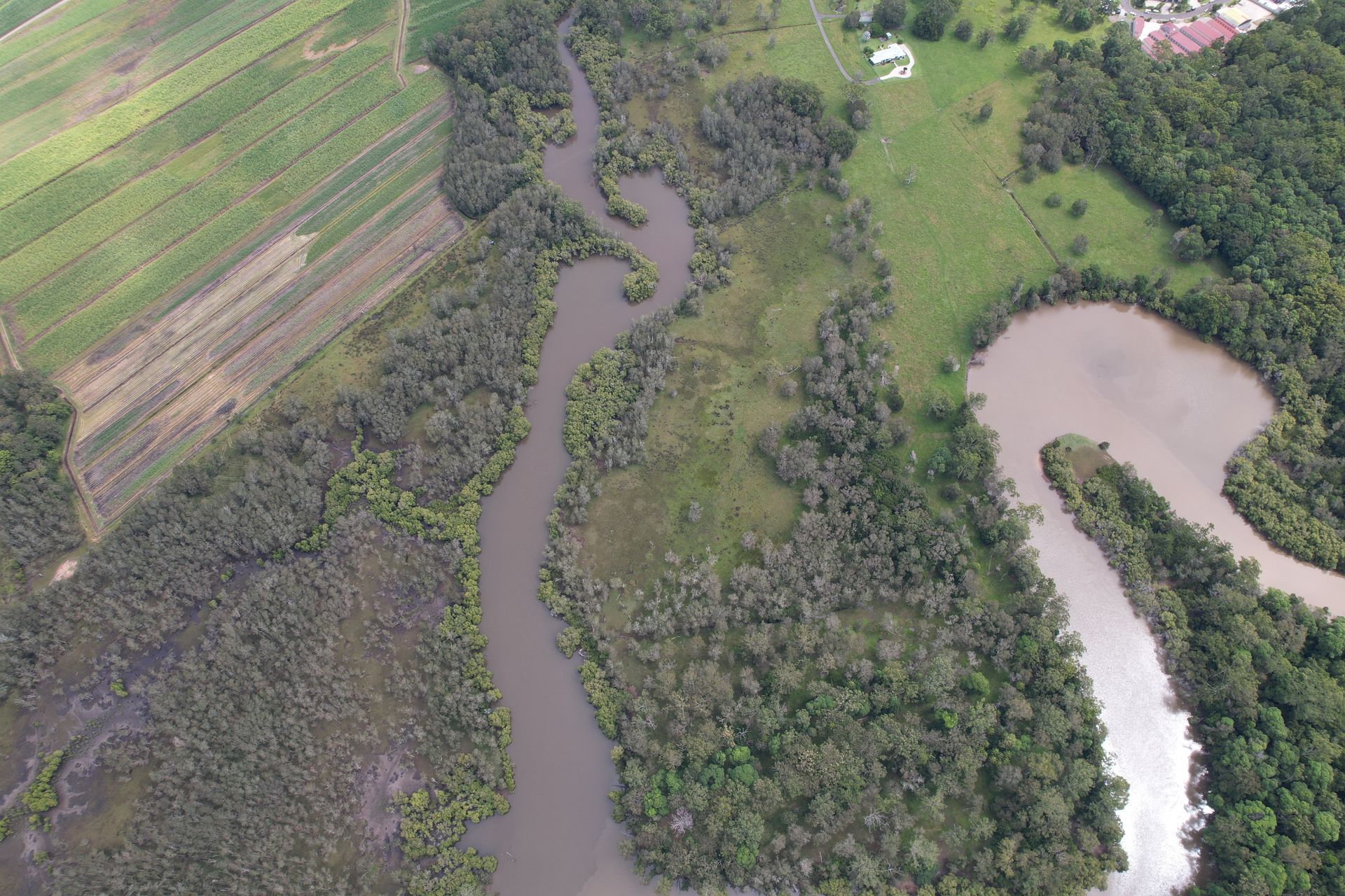An aerial view of a winding, brown river flowing through a dense green forest — Environment Restoration Solutions in Lismore, NSW