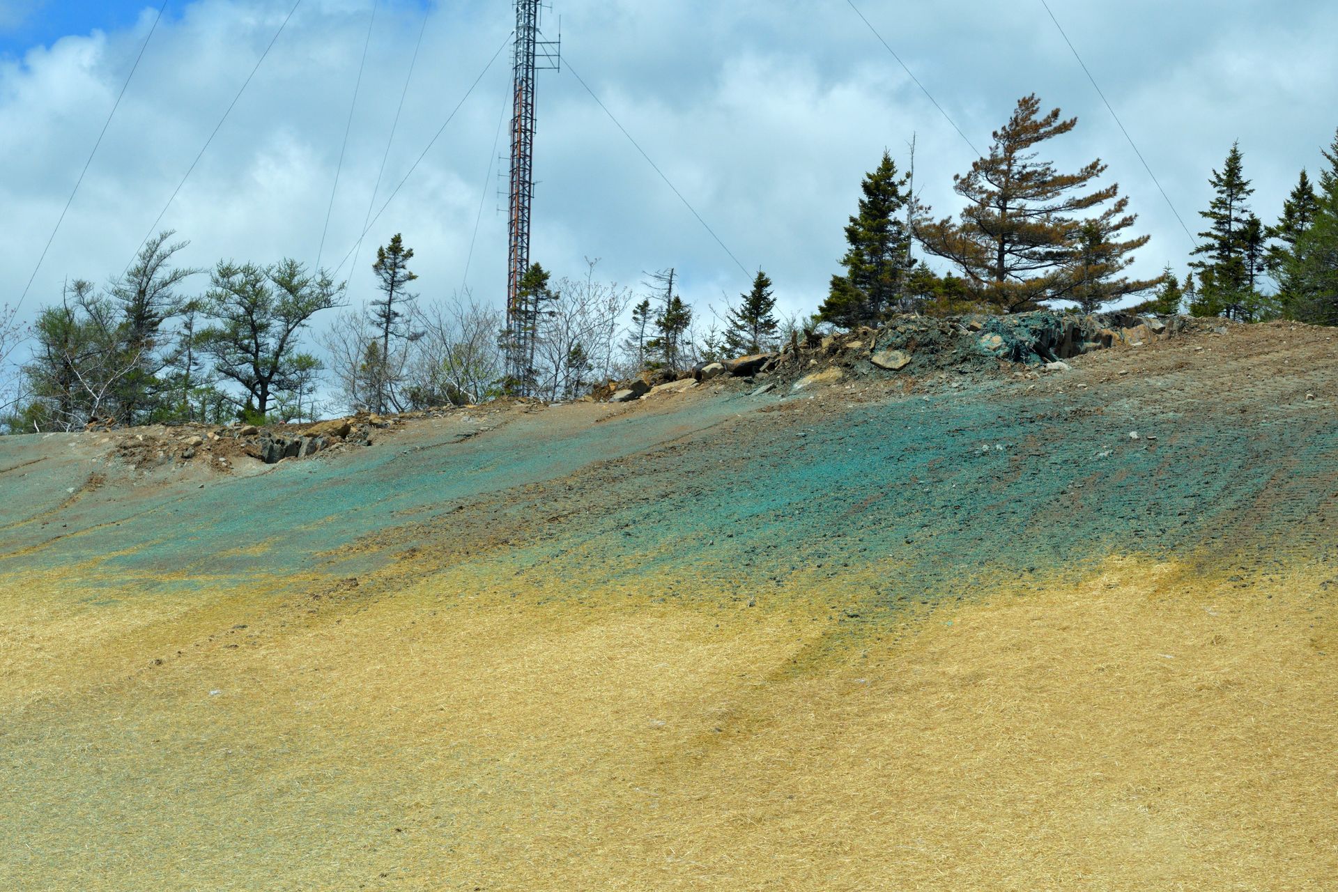 A Steep Embankment With a Layer of Blue-tinted Minerals — Environment Restoration Solutions in Armidale, NSW