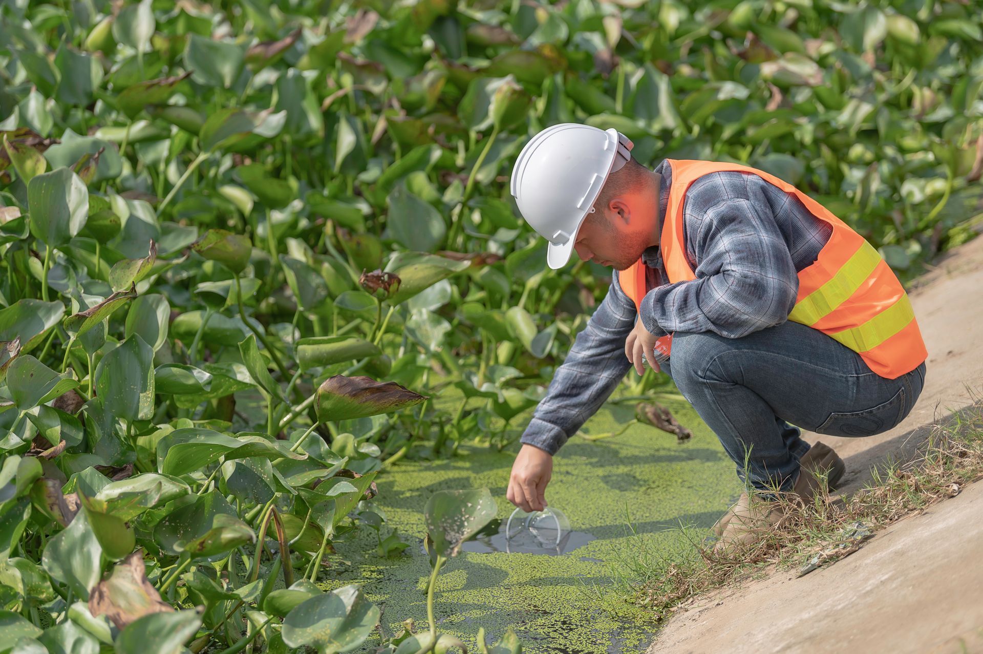 A worker in a high-visibility vest collects a water sample — Environment Restoration Solutions in Waterview Heights, NSW