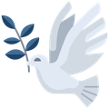 White dove carrying olive branch, a symbol of peace.