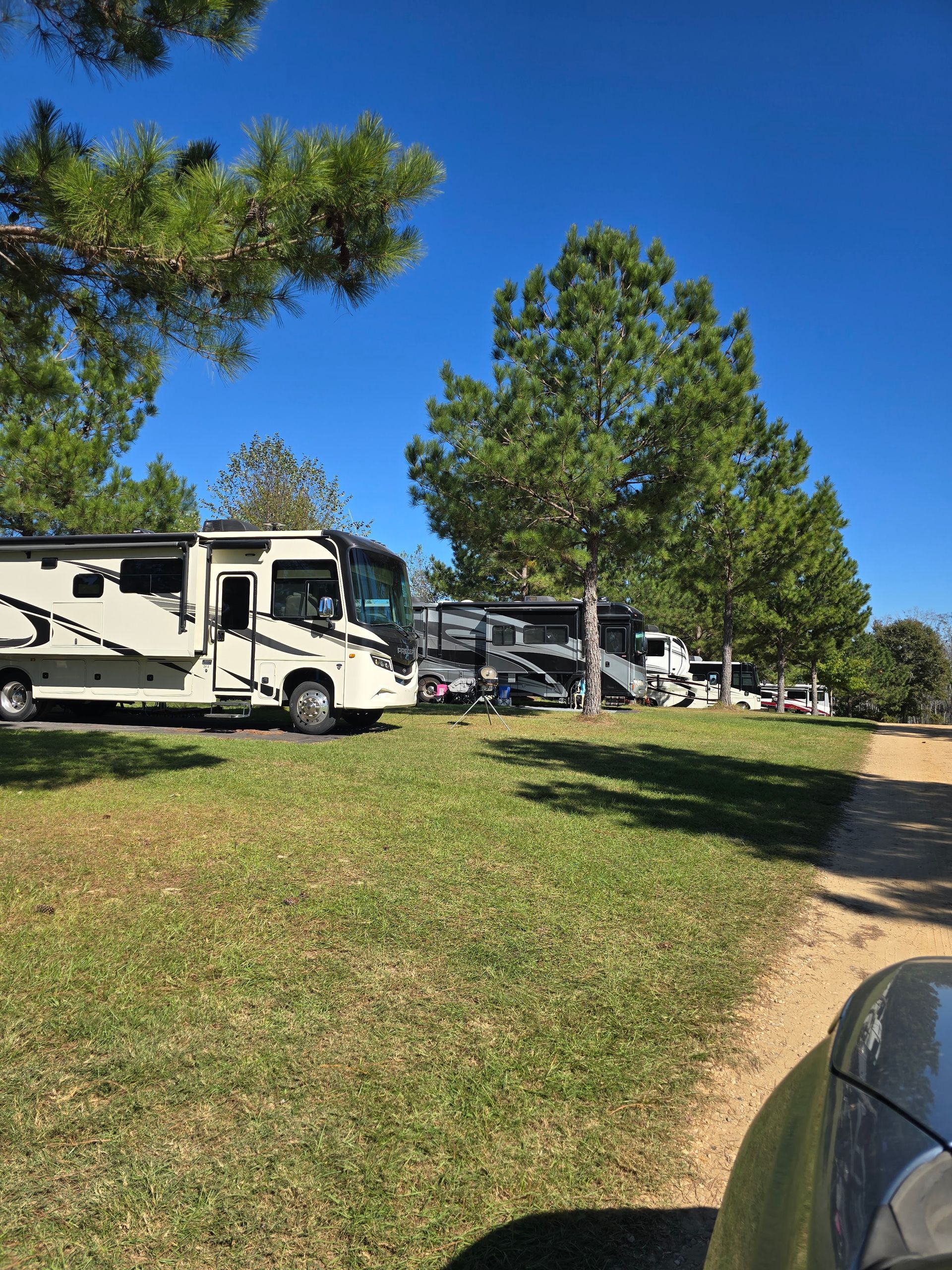 RVs parked on a grassy campsite under a bright blue sky.