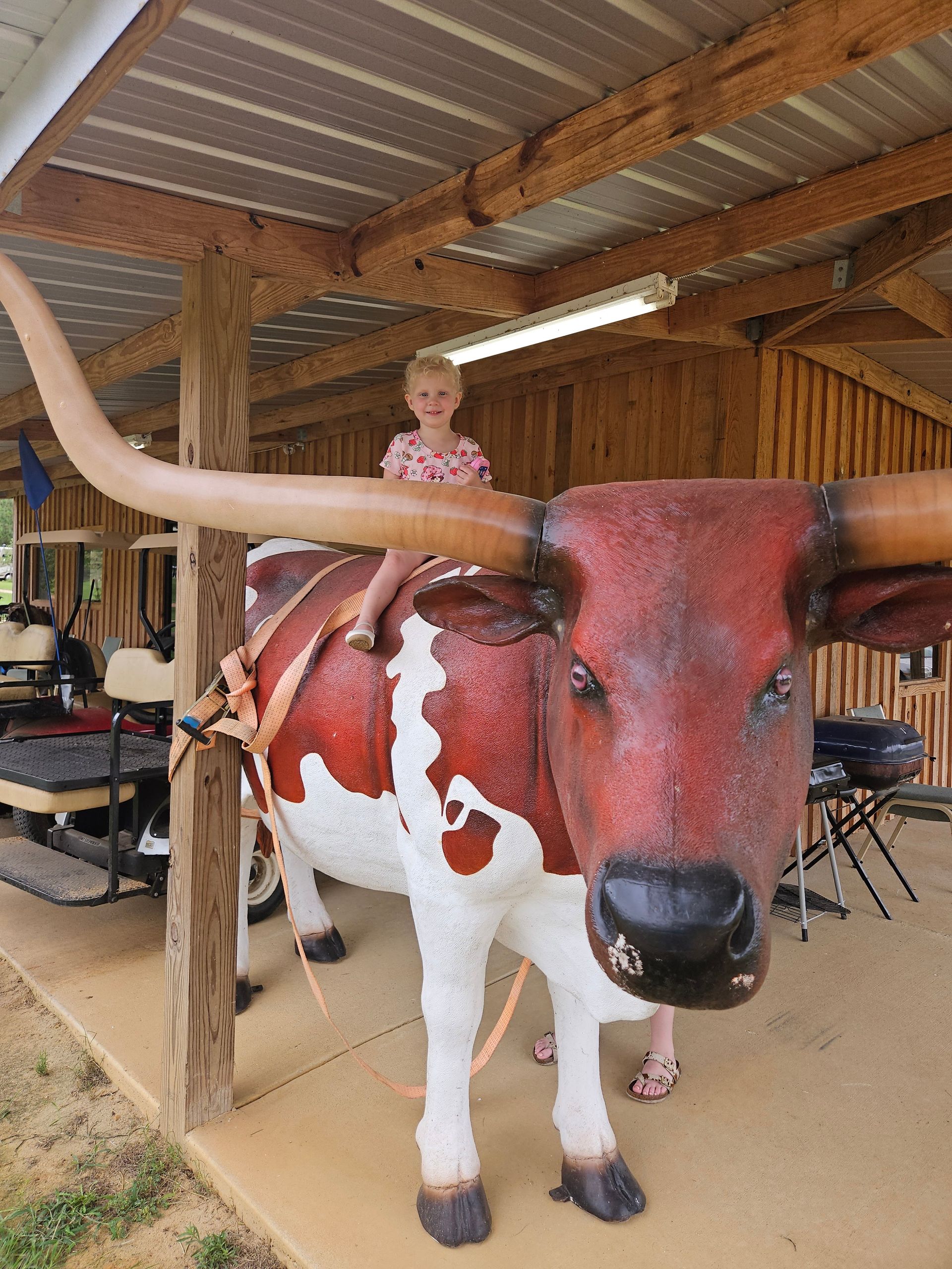 Young girl on a large, decorative Longhorn steer statue with red and white markings.