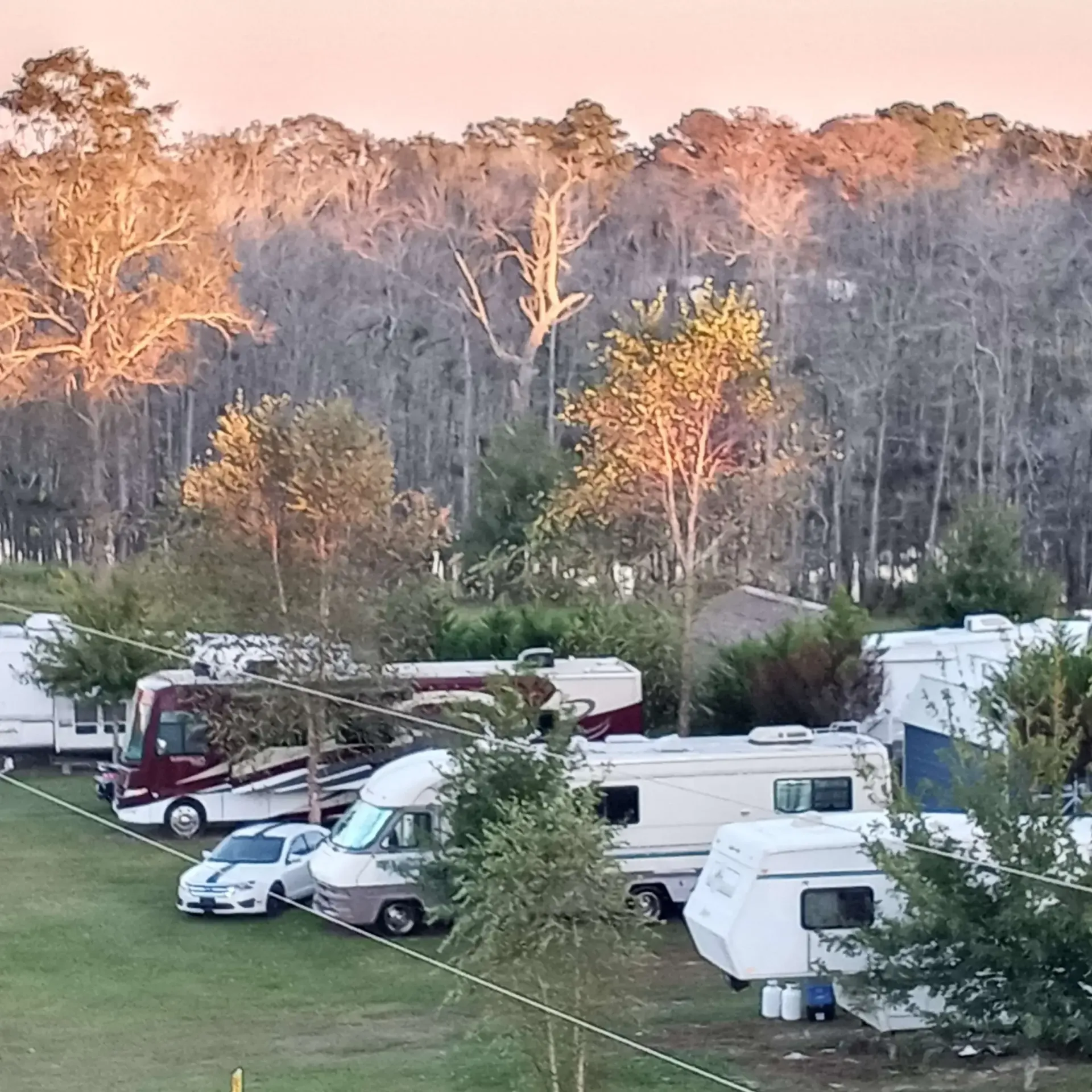Campground with RVs and trees under a sunset sky.