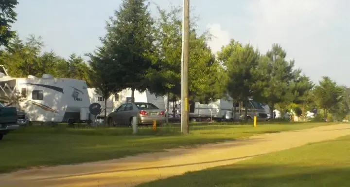 Campground with RVs parked along a dirt road, under trees, on a sunny day.
