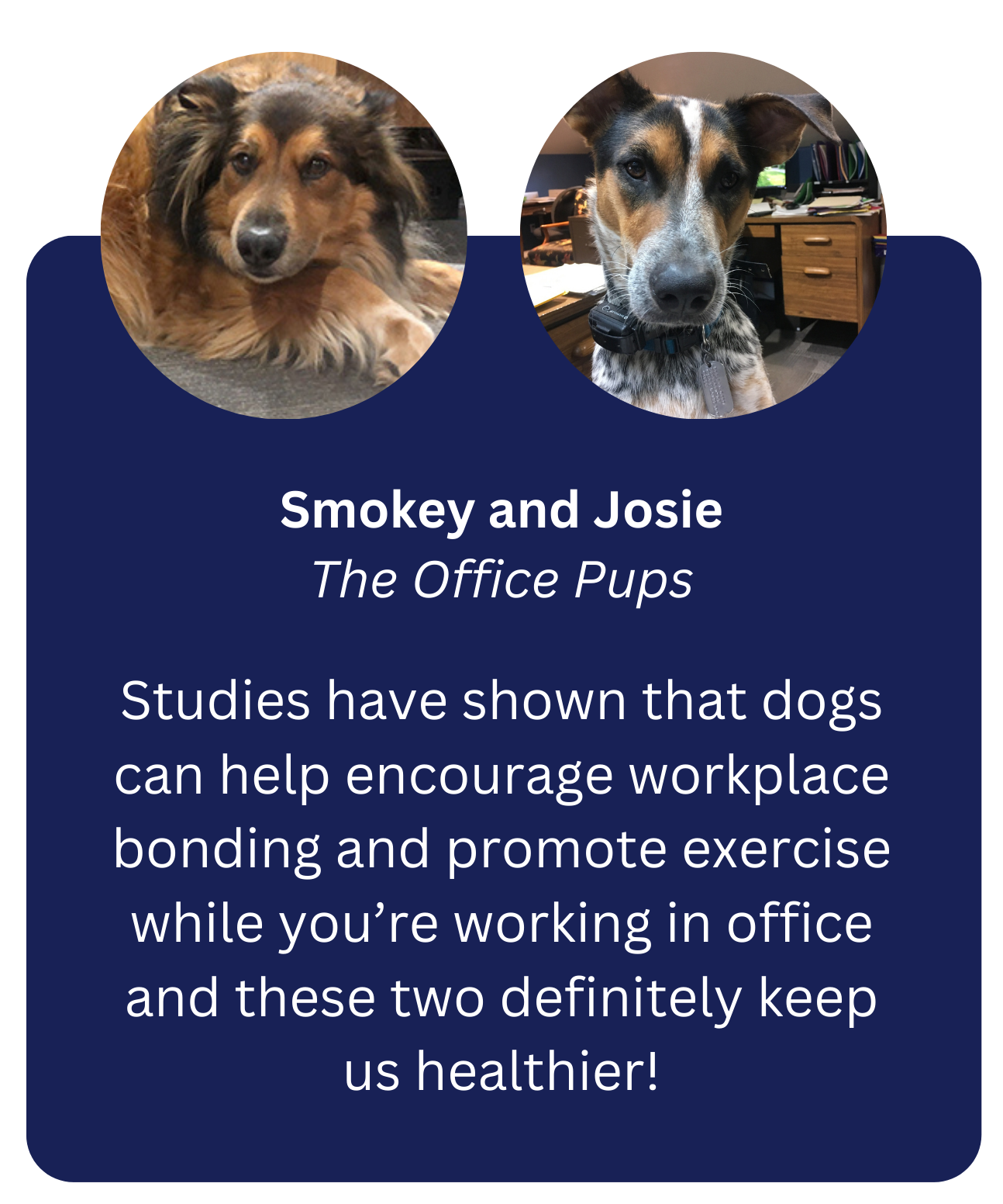 gutter installation dearborn mi