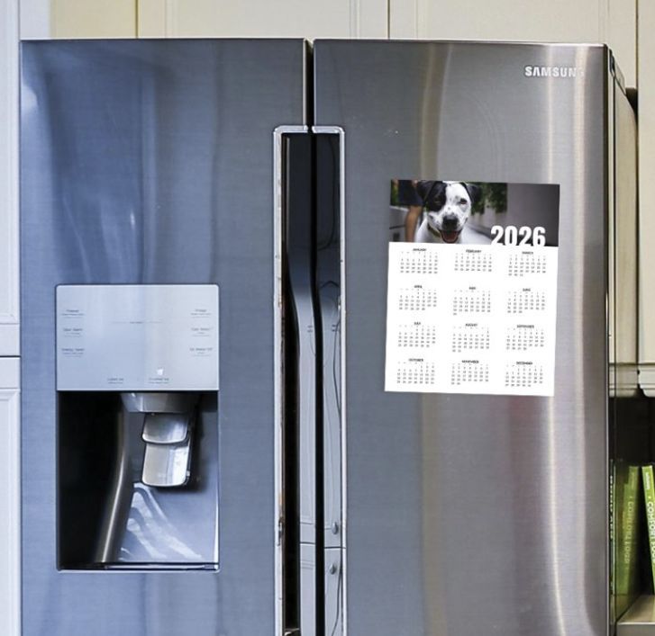 Magnet photo calendar hanging on a fridge