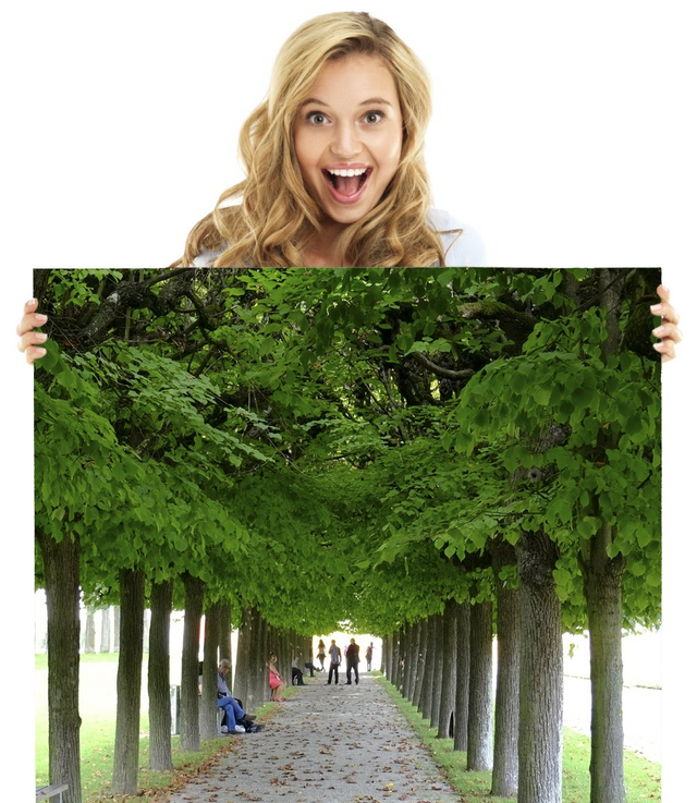 Big Prints at Super Low Prices! Fast and easy! Up to 30x50 inches!