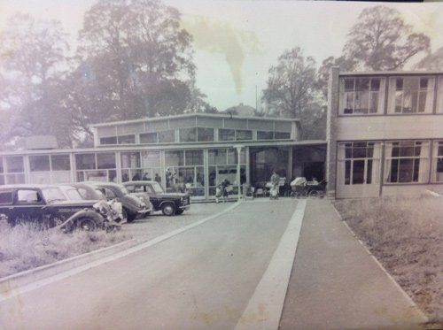 Blackhorse Primary School