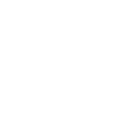 White background.