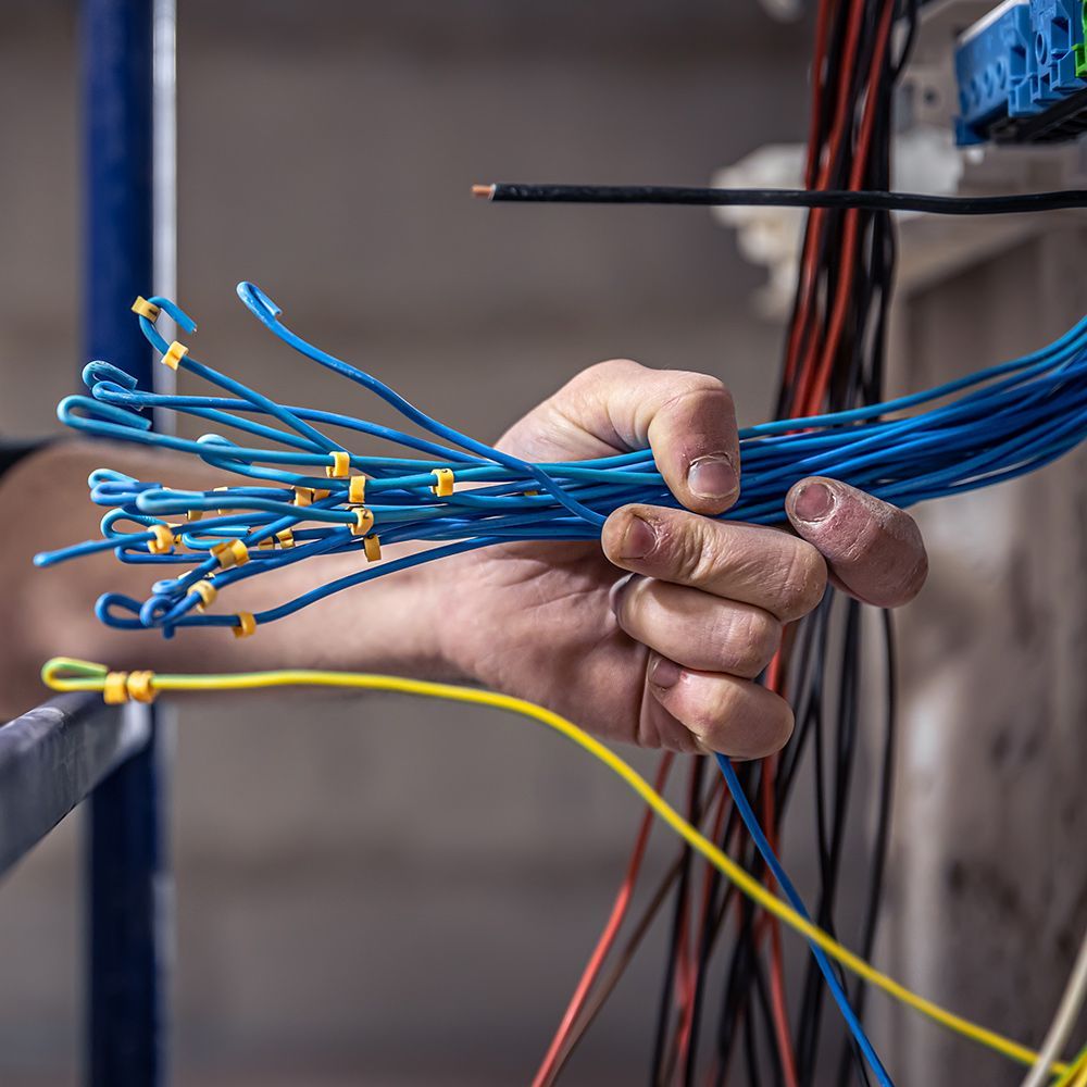 A person is holding a bunch of wires in their hand.