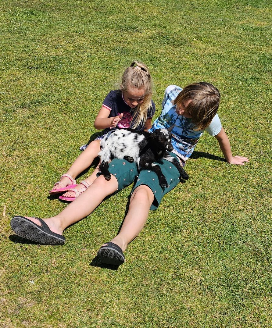 vakantiehuisje-bij-de-Boer