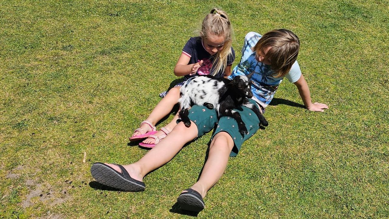 Vakantiepark met Kinderboerderij