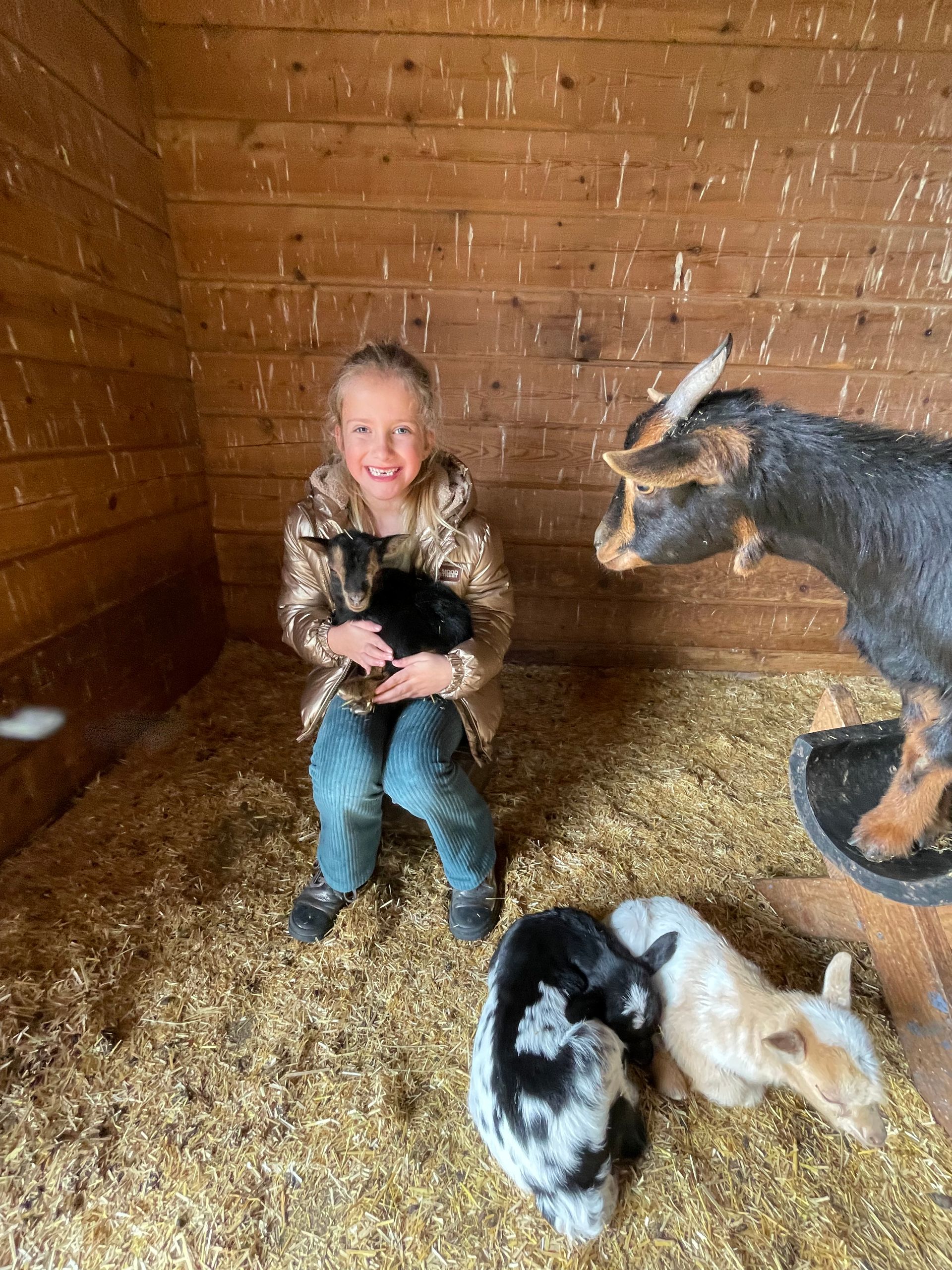 Vakantiepark met kinderboerderij