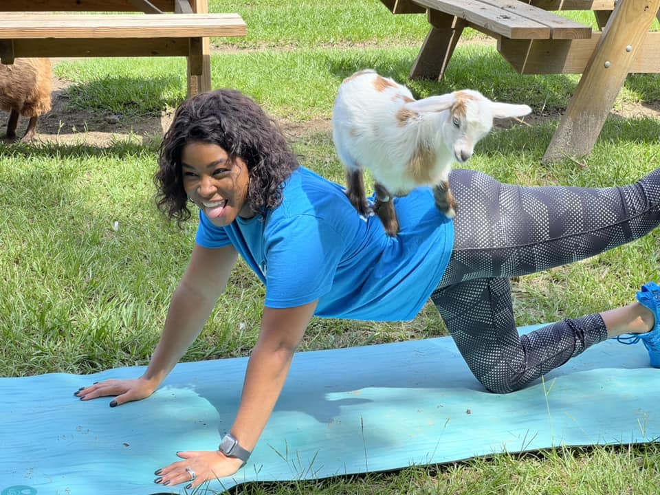 Goat Yoga Classes