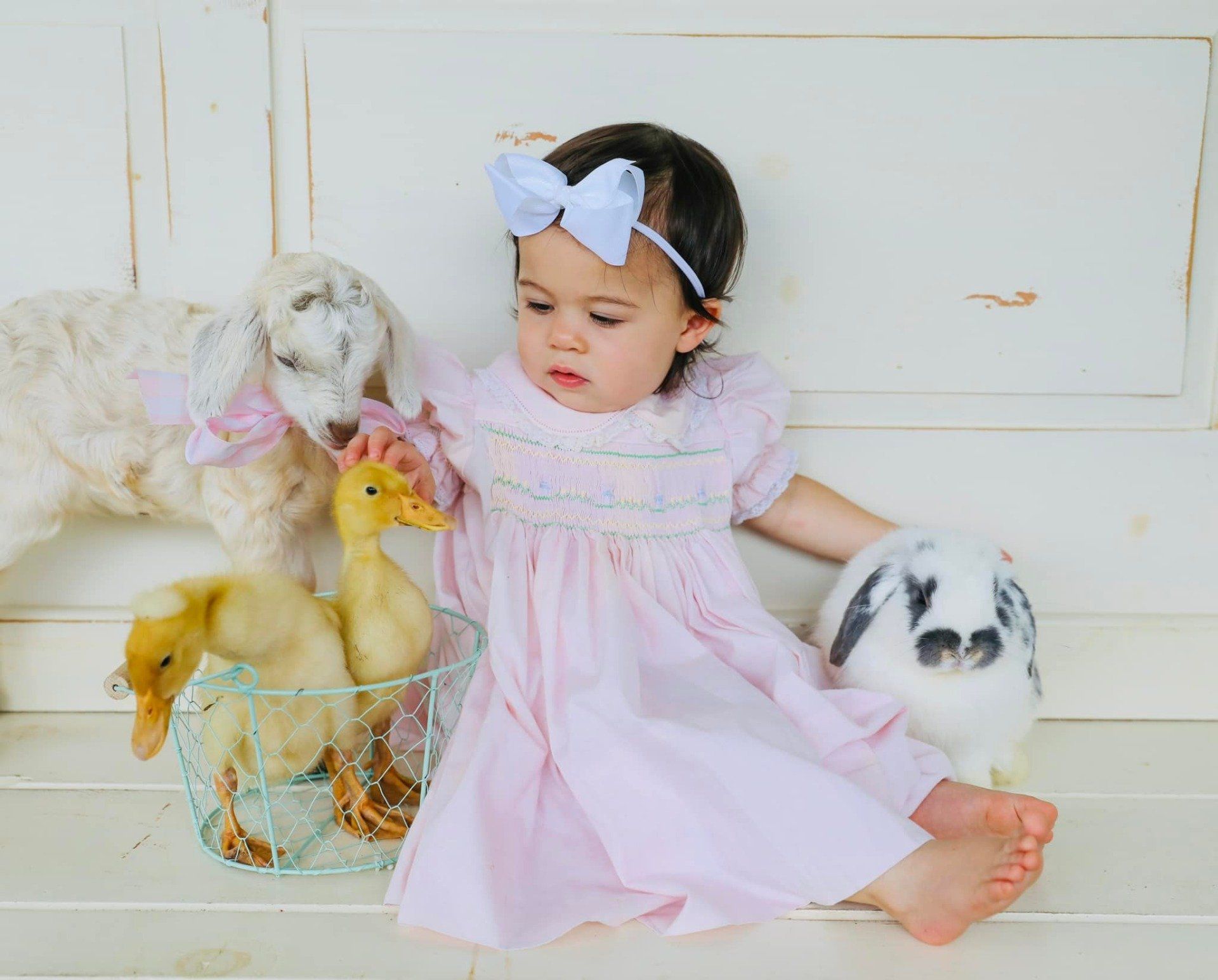 Goat Yoga Classes Valdosta GA