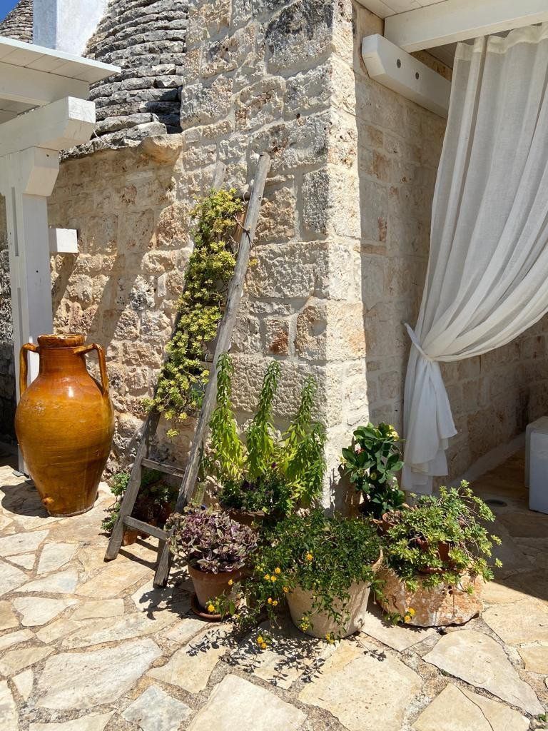 Trullo e piante