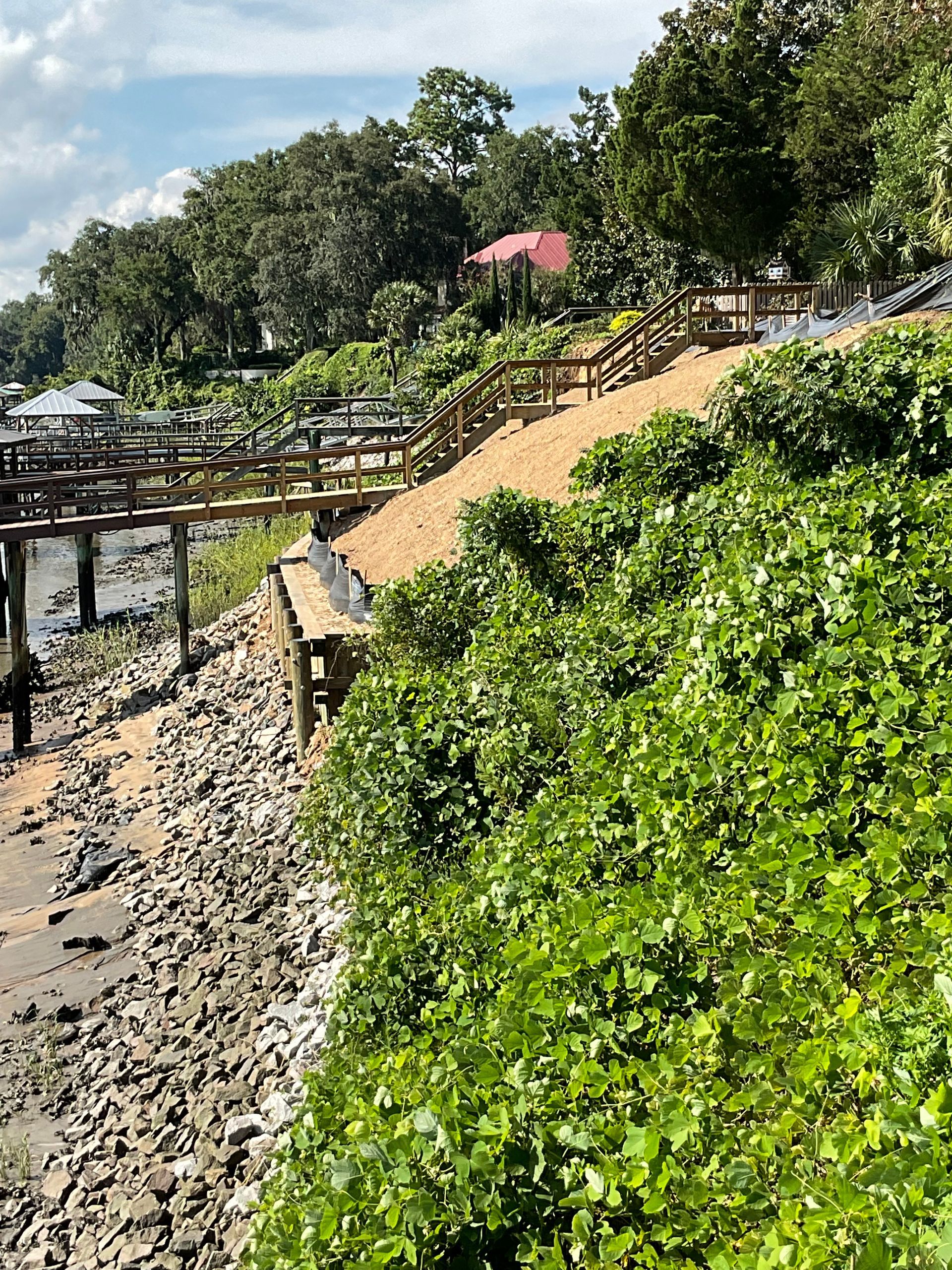 A lush green hillside next to a body of water with a wooden bridge in the background.