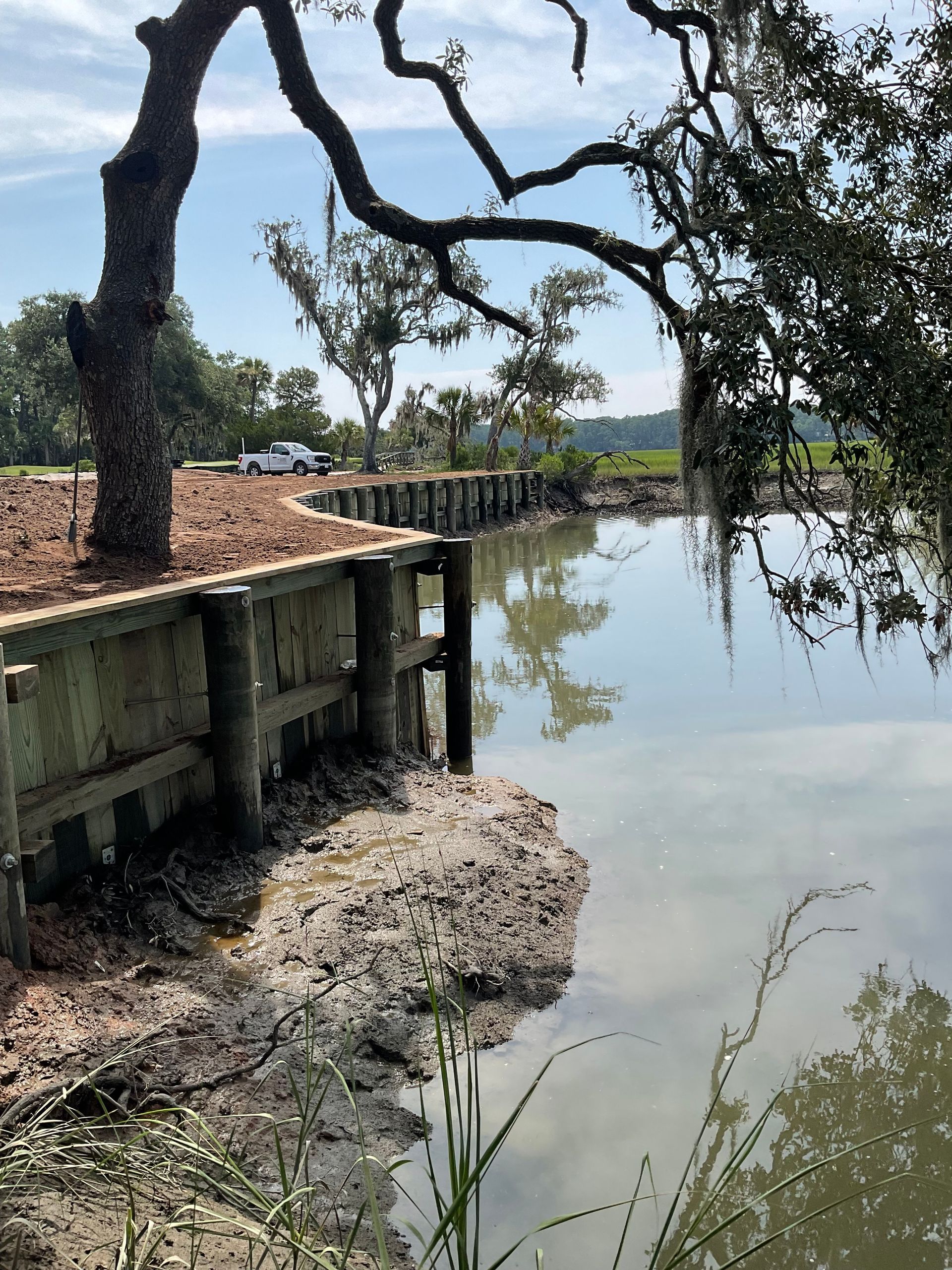 A large body of water with a tree in the foreground