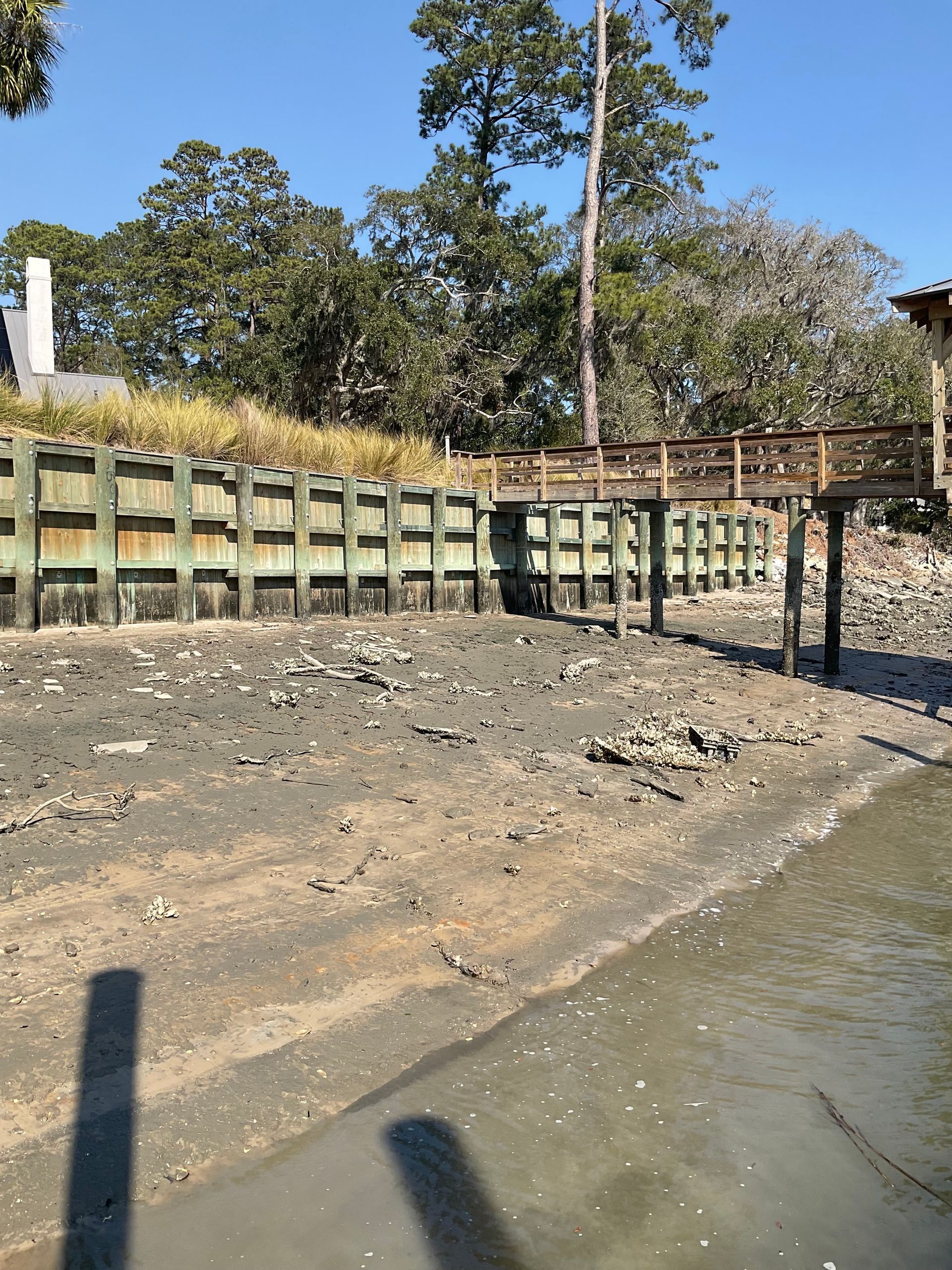 A shadow of a person is cast on the ground near a body of water
