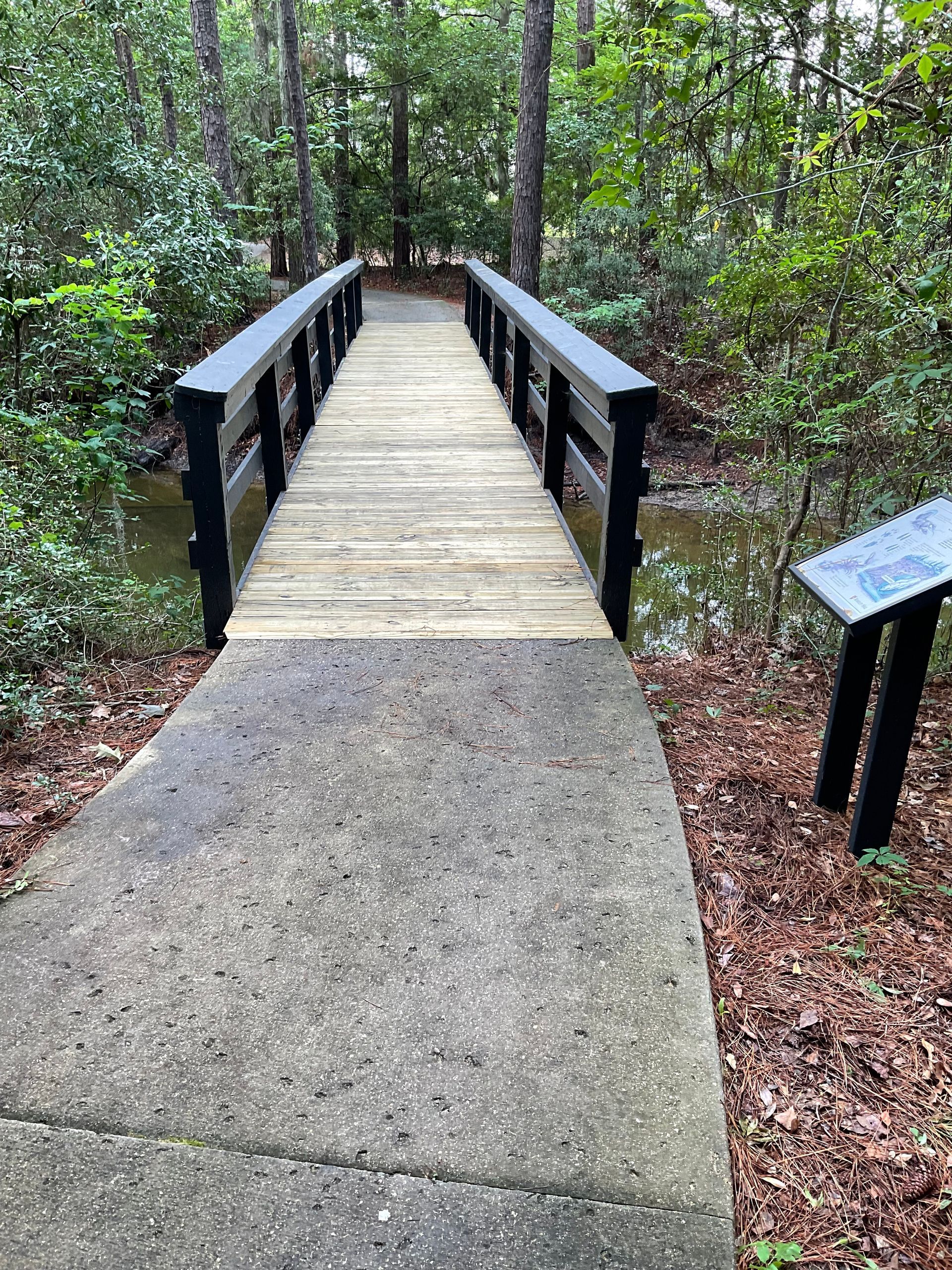 A wooden bridge in the middle of a forest.
