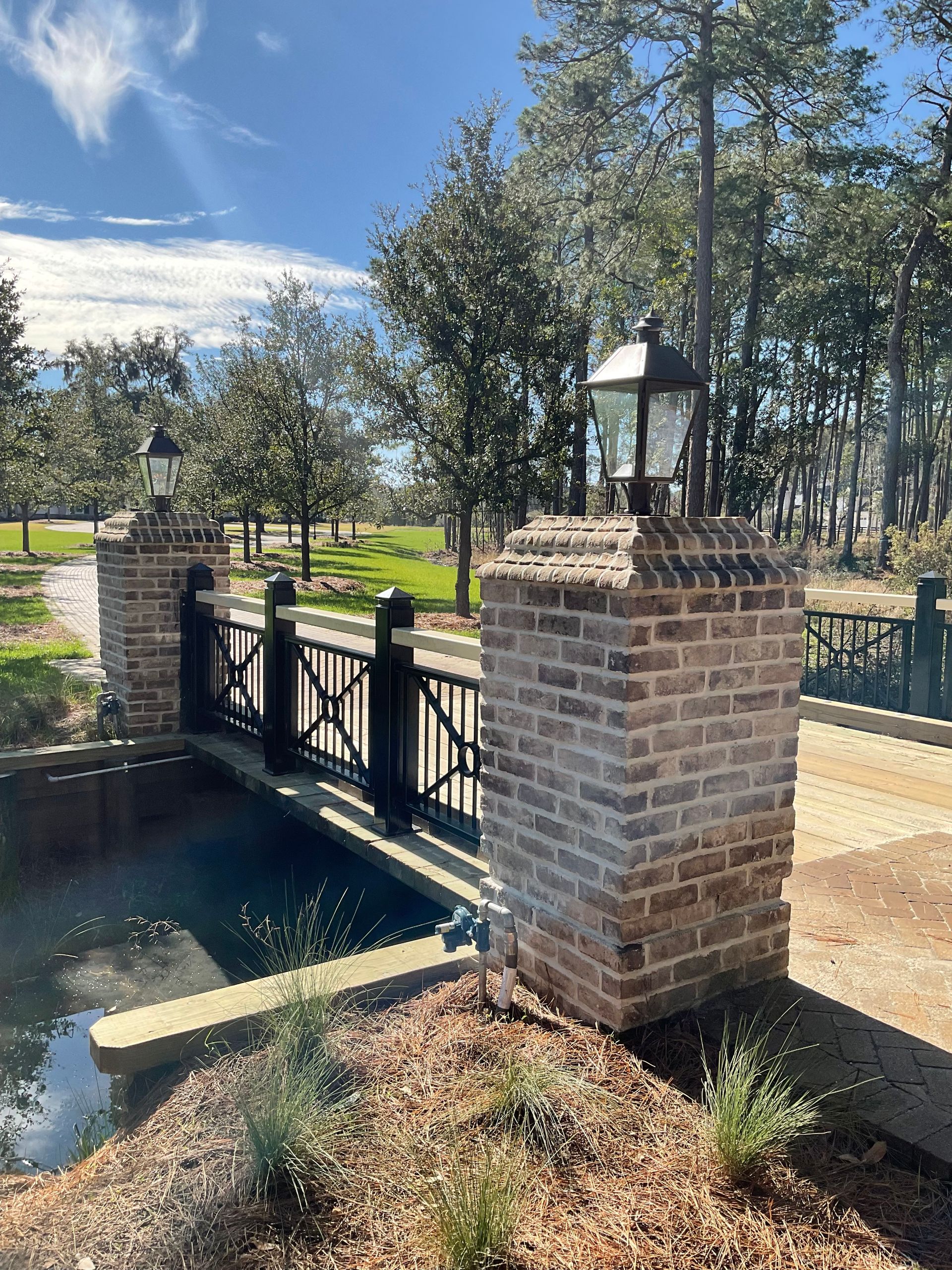 There is a bridge over a pond in the middle of a park.