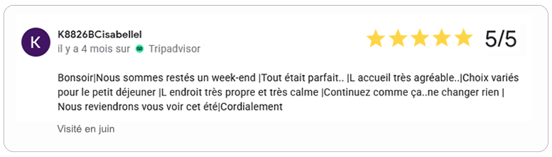 avis Google validé