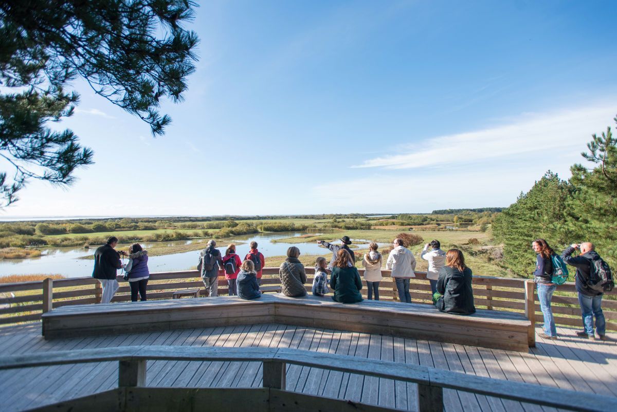 Parc du Marquenterre