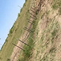 A fence surrounds a grassy hillside with a blue sky in the background.