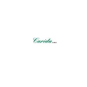 LOGO - Carida