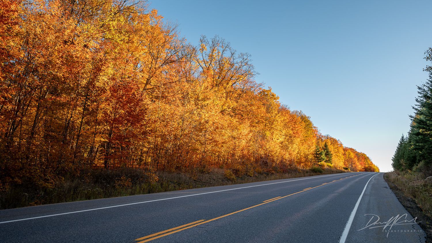 A road with trees on the side of it and a blue sky in the background.