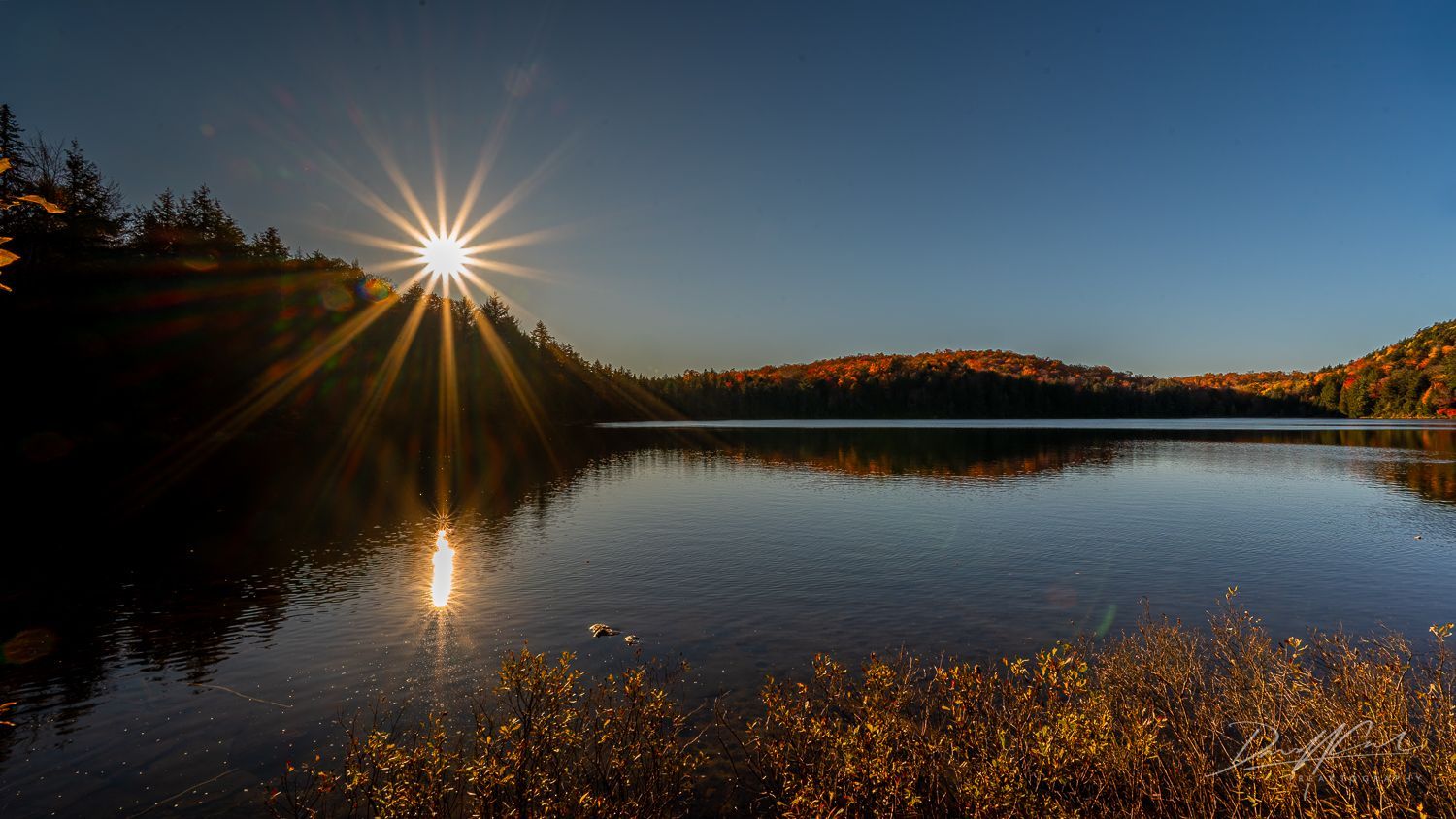The sun is shining brightly over a lake surrounded by trees.