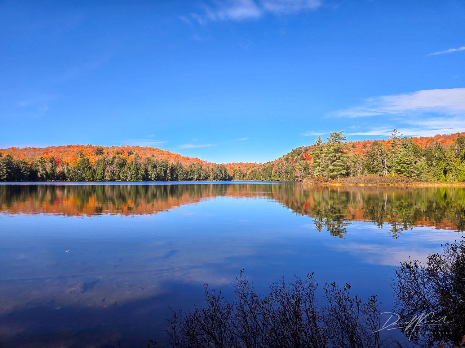 A lake surrounded by trees on a sunny day
