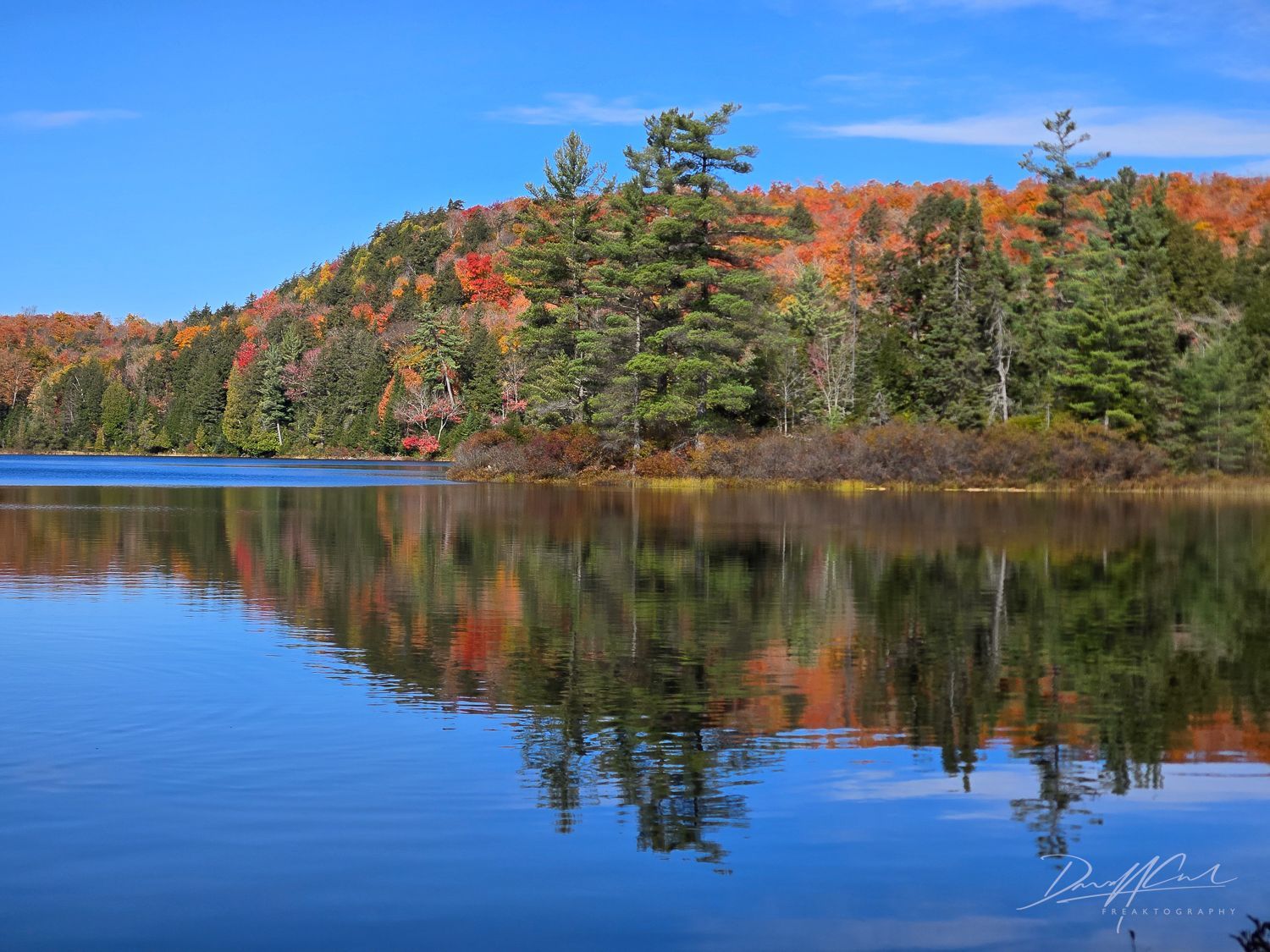 A lake surrounded by trees with autumn leaves reflected in the water.