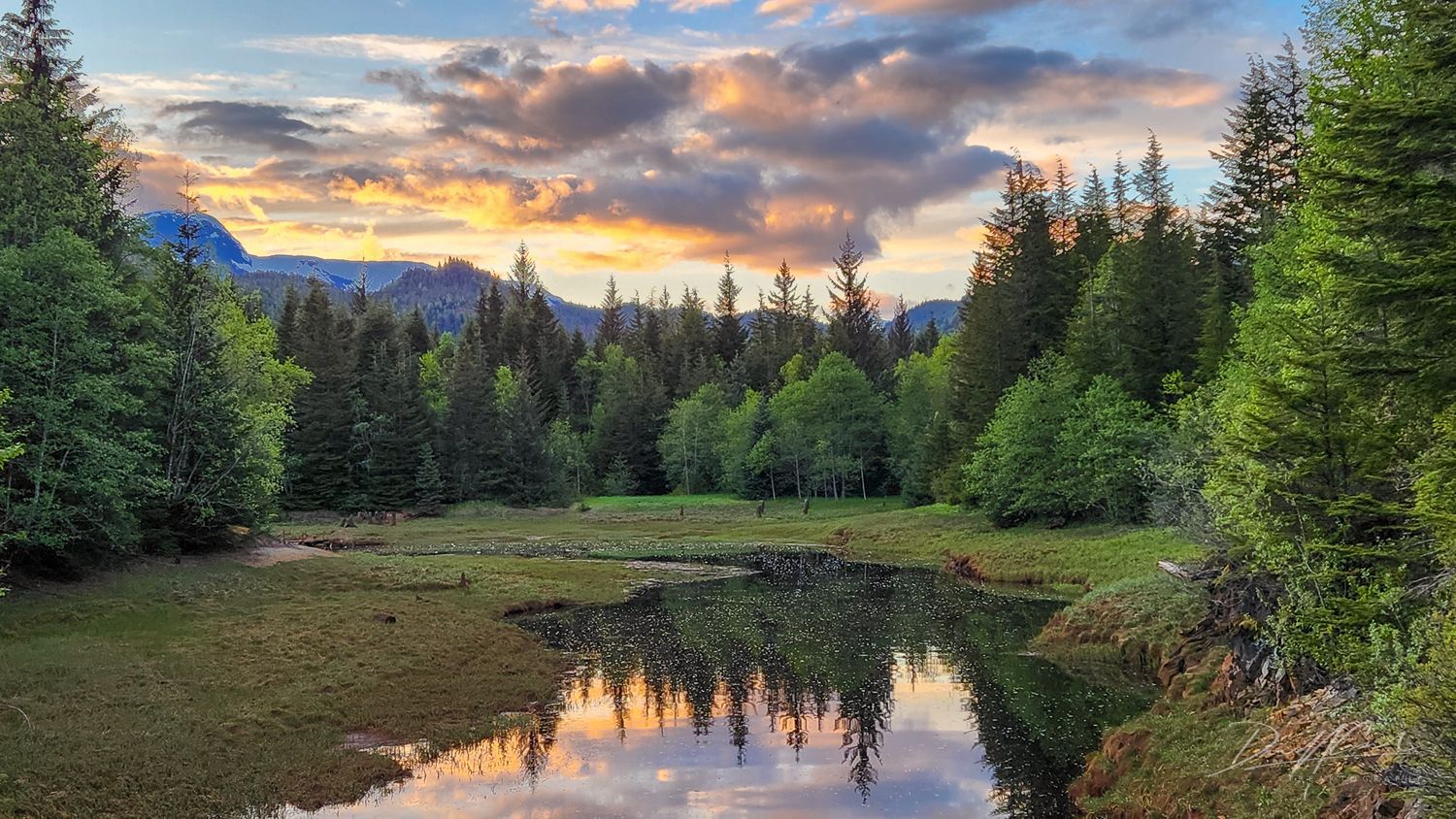 A river in the middle of a forest with a sunset in the background.