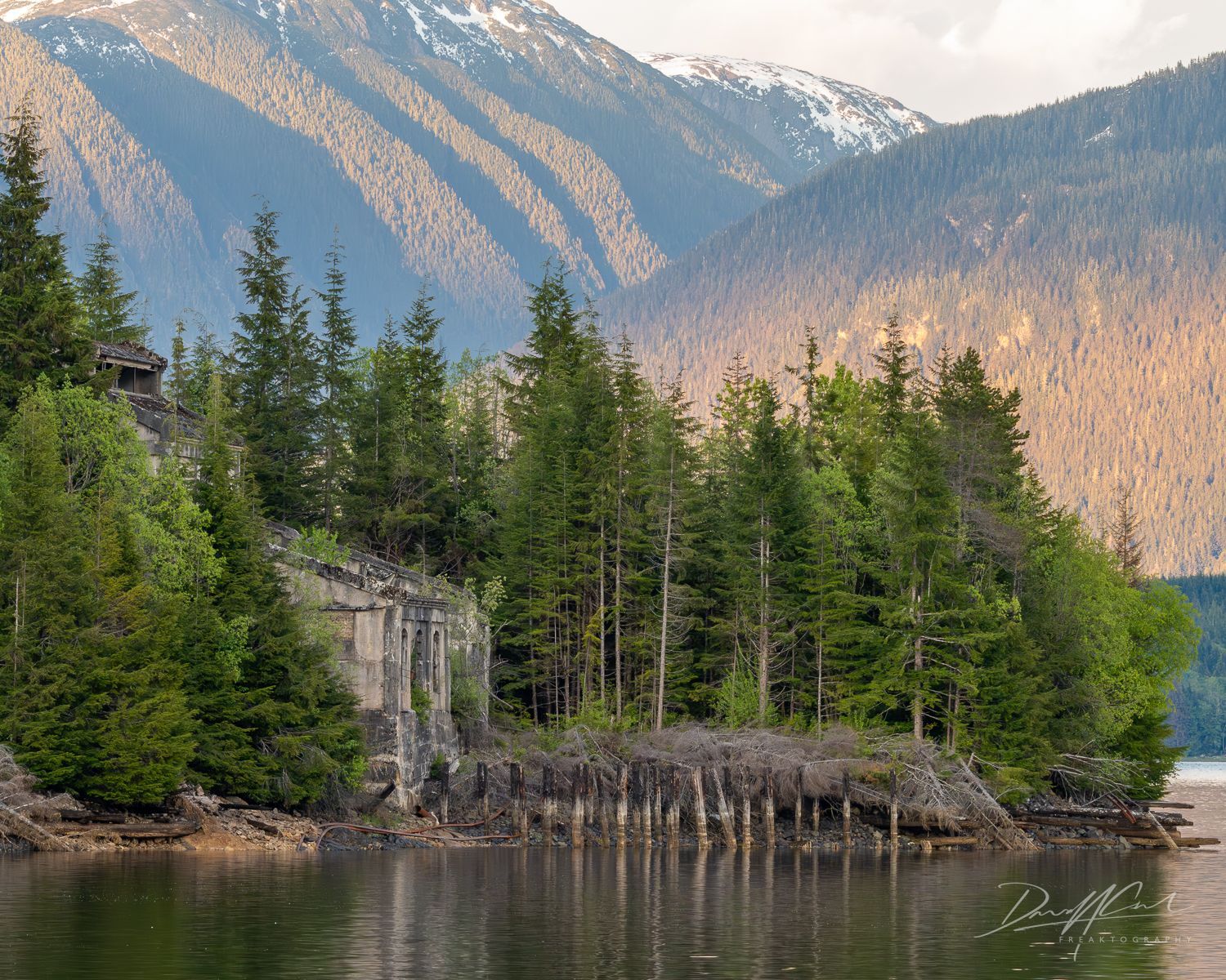 A lake surrounded by trees with mountains in the background