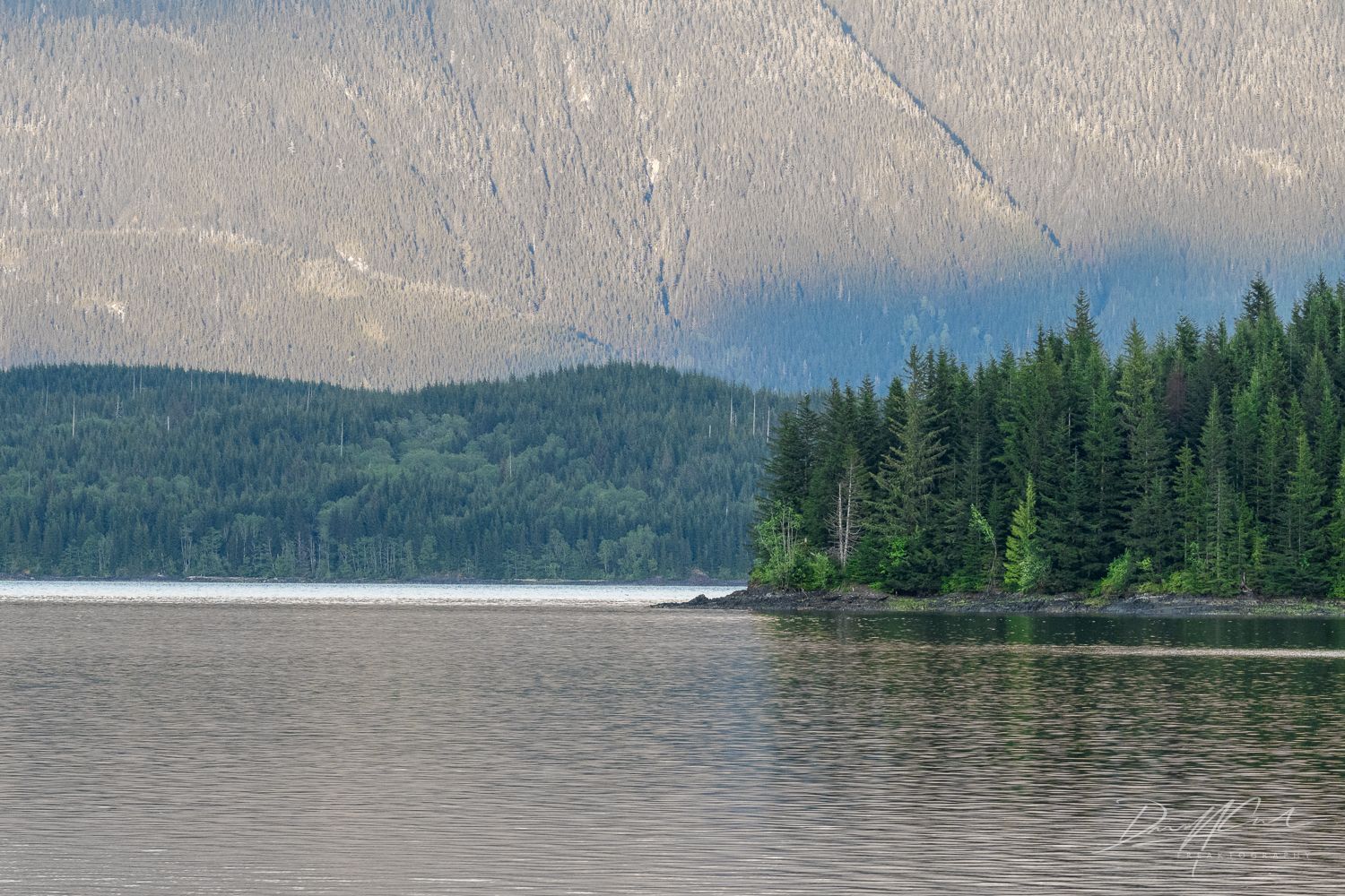 A lake with mountains in the background and trees on the shore.