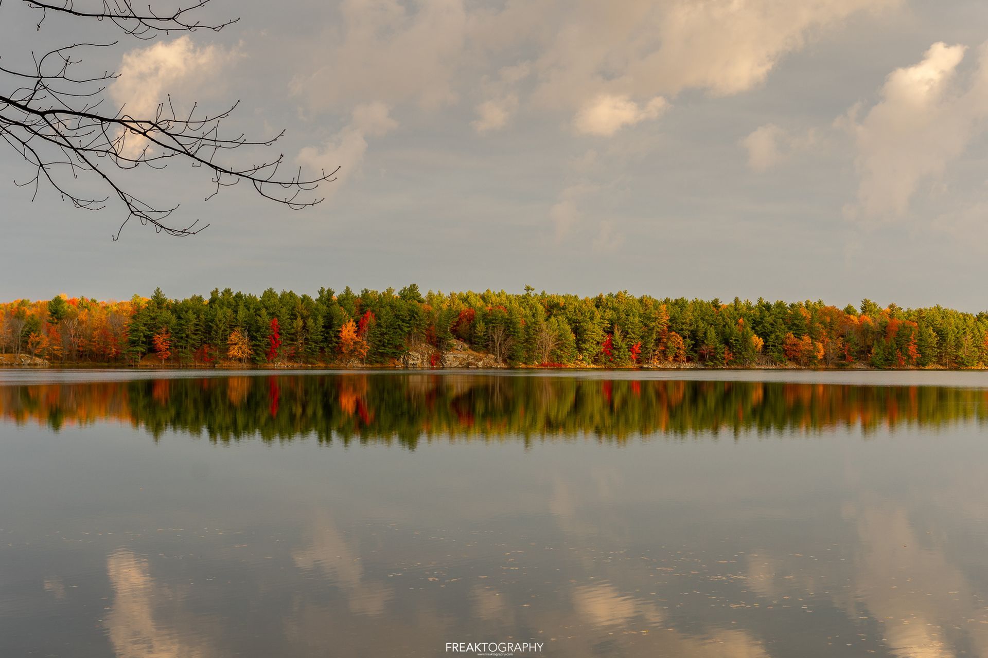 A lake with a forest in the background and trees reflected in the water.