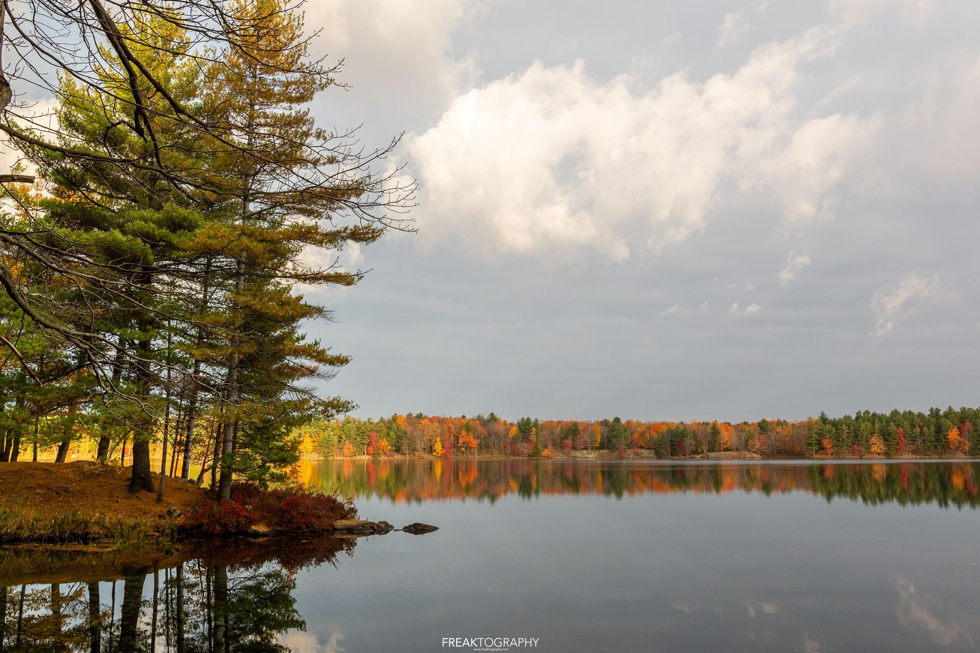 A lake with trees on the shore and a cloudy sky