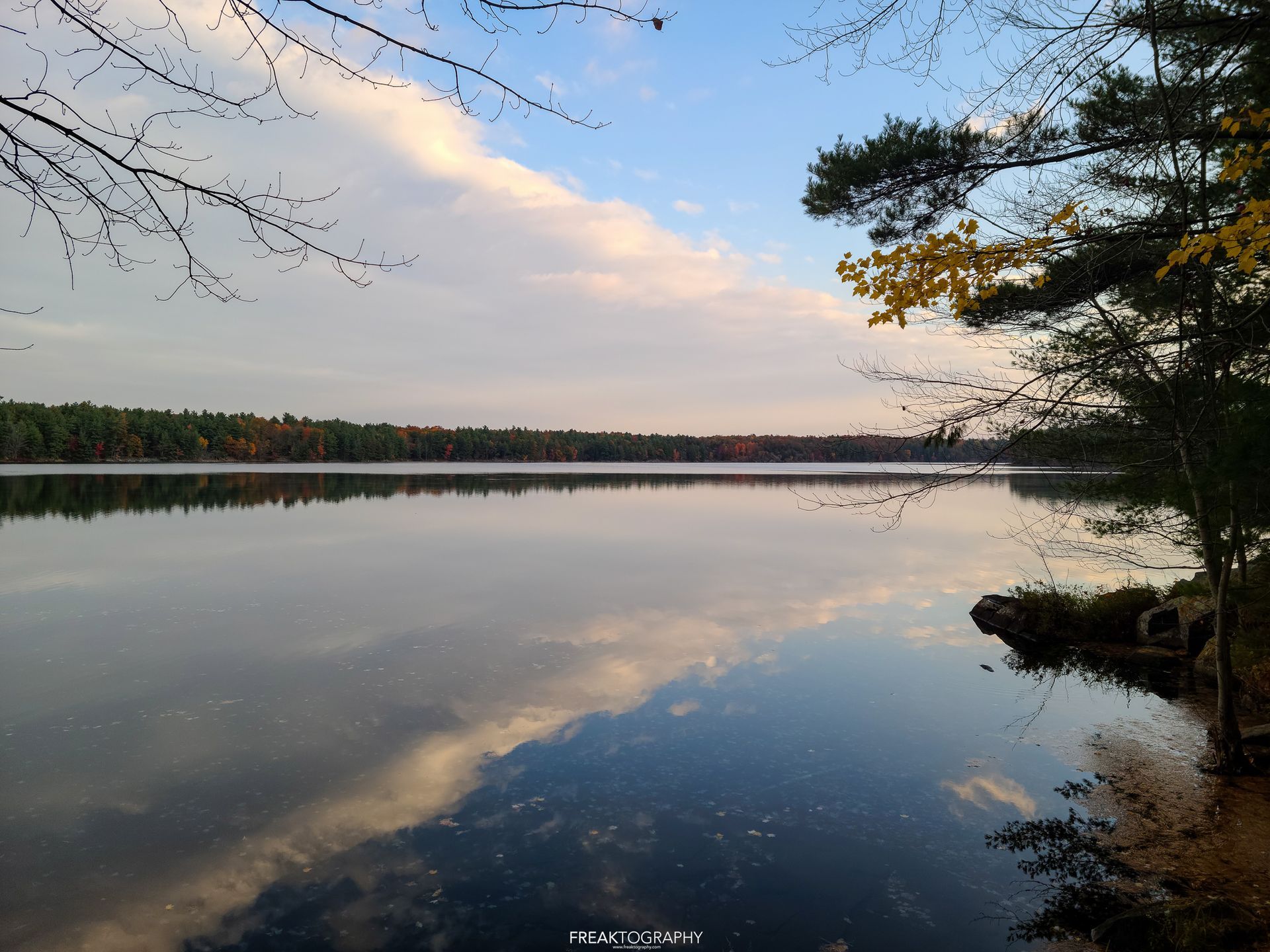A large body of water with trees on the shore