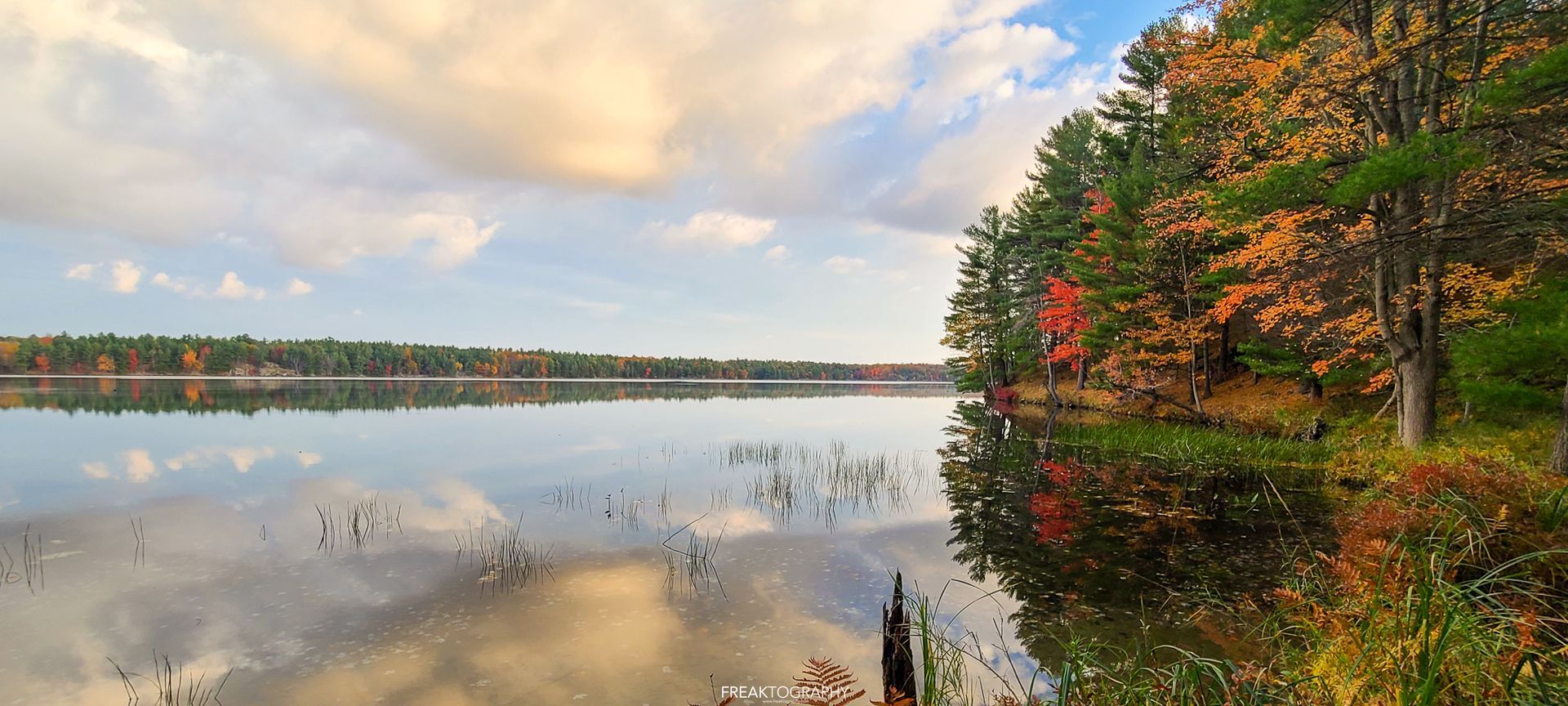 A large body of water surrounded by trees on a cloudy day.
