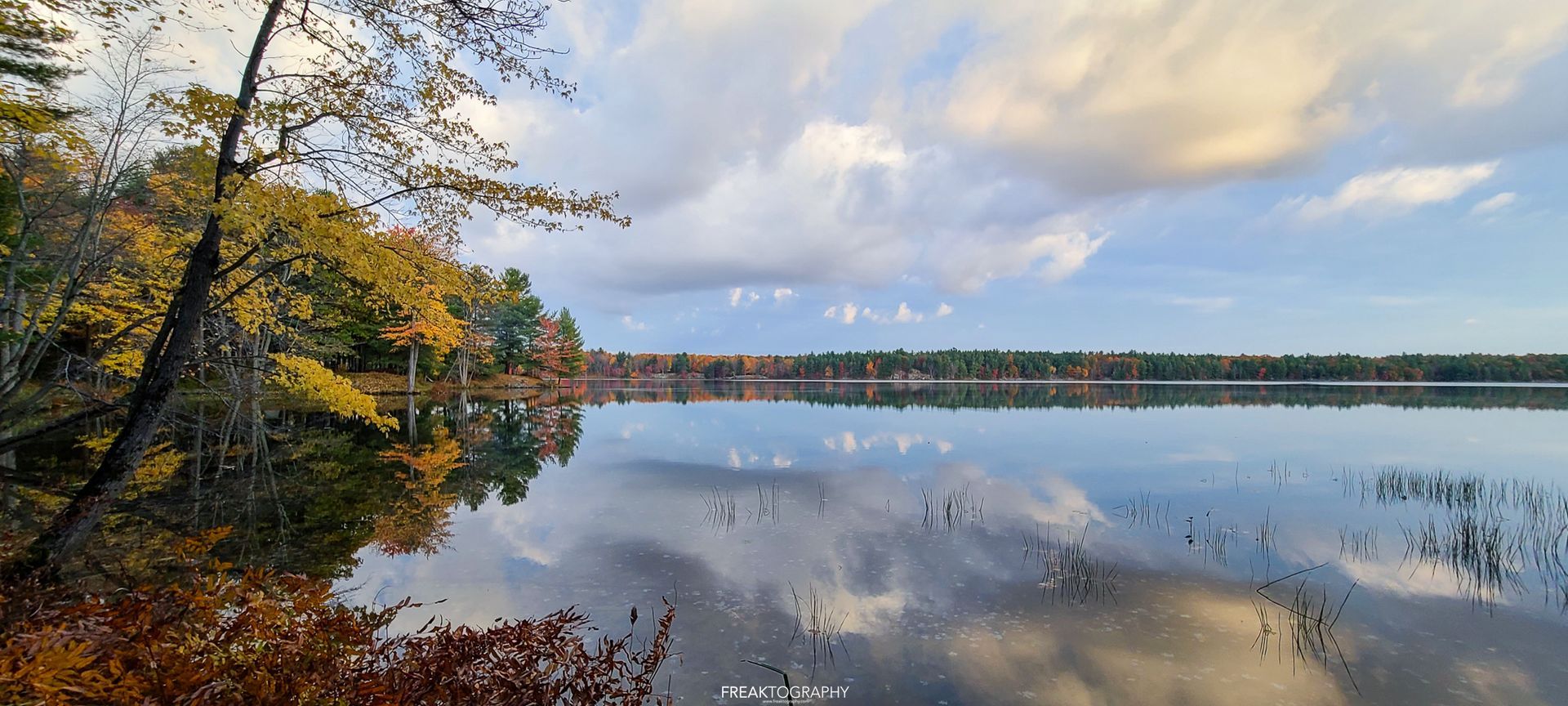 A large body of water surrounded by trees on a cloudy day.