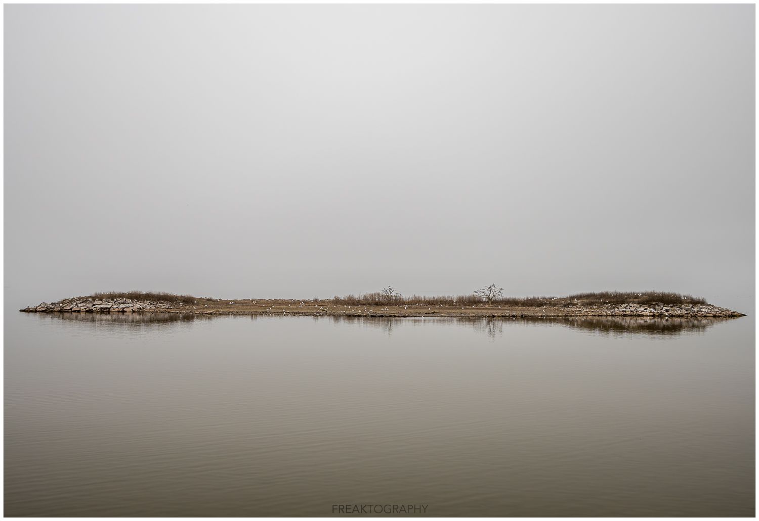 A group of birds are sitting on a small island in the middle of a lake.