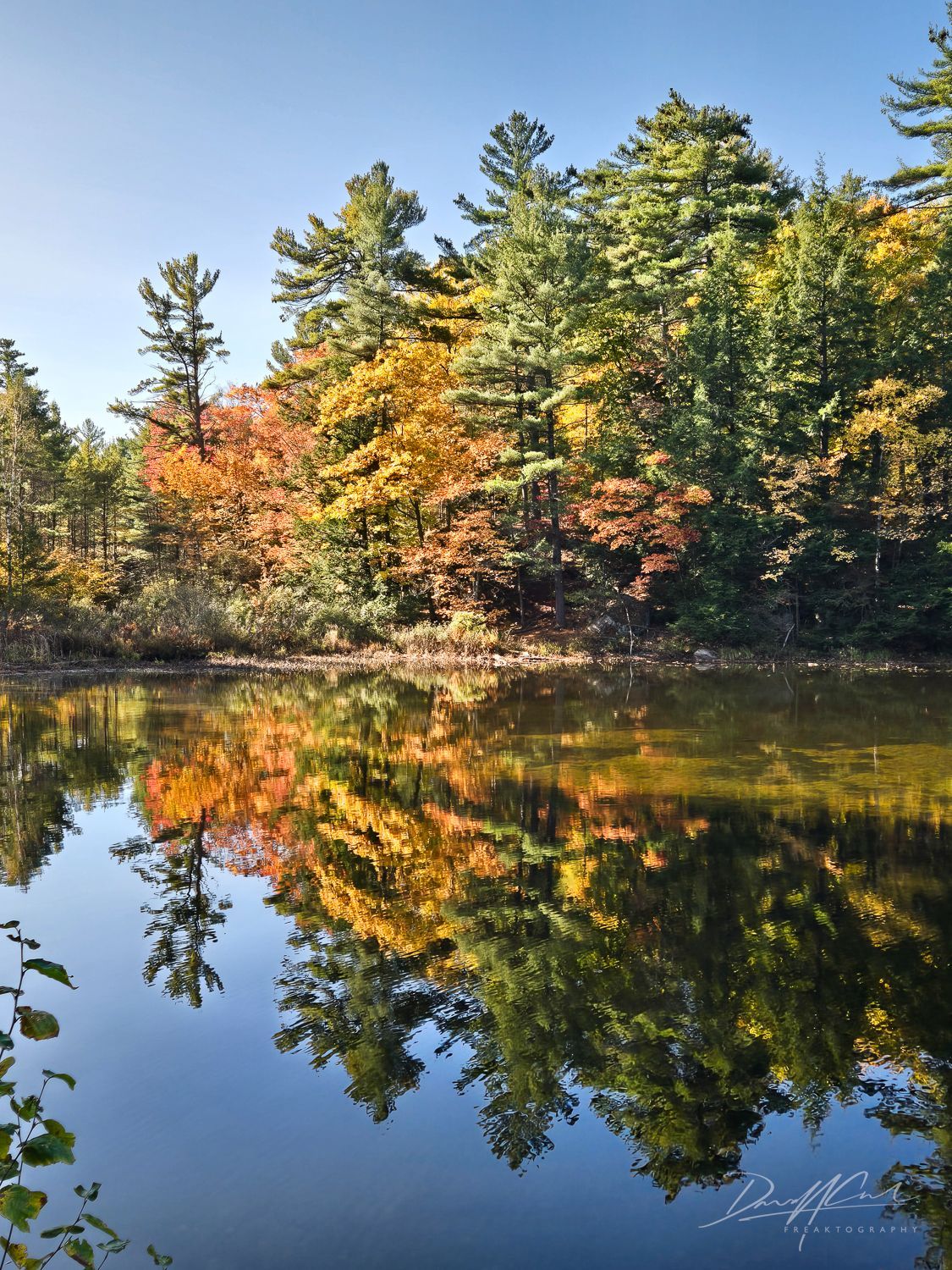 A lake surrounded by trees with autumn leaves reflected in the water