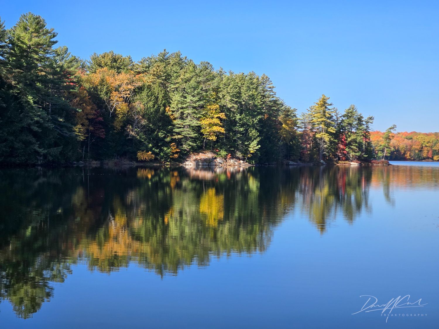 A lake surrounded by trees on a sunny day