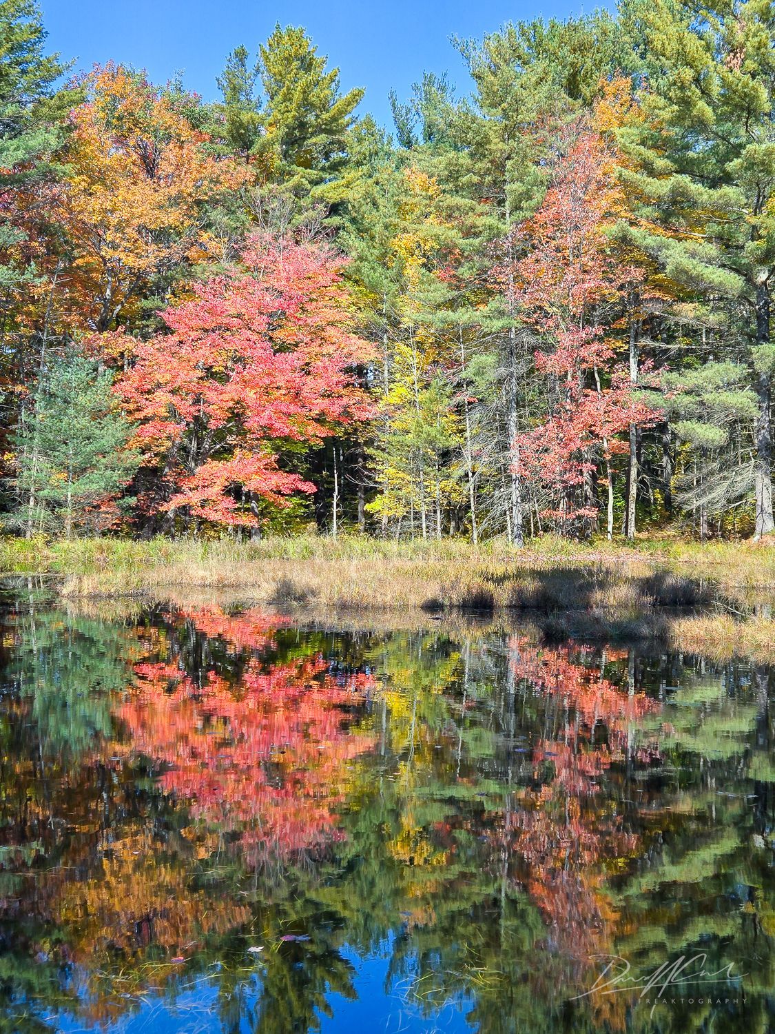 A lake surrounded by trees with autumn leaves reflected in the water.