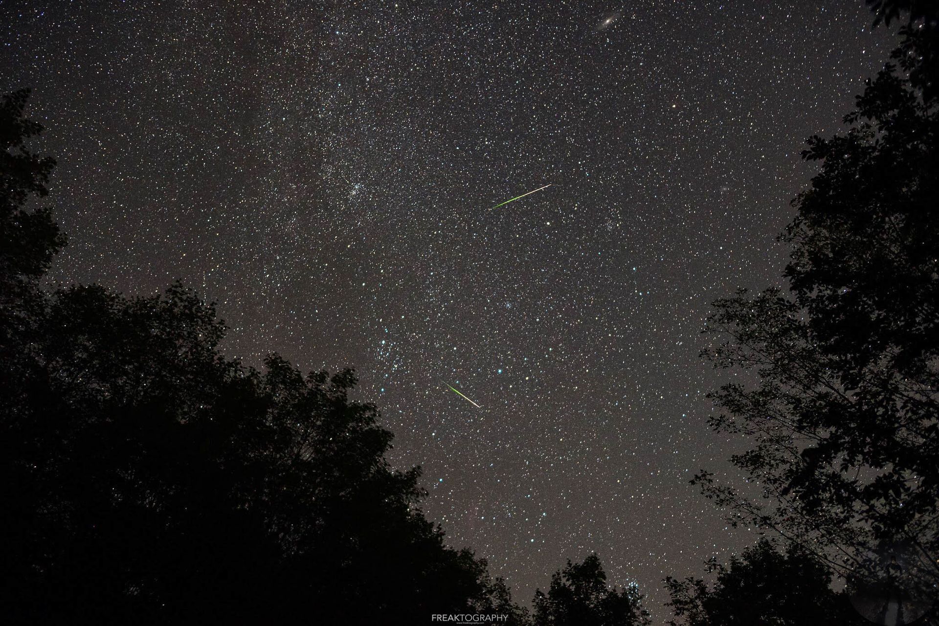 A starry night sky with trees in the foreground