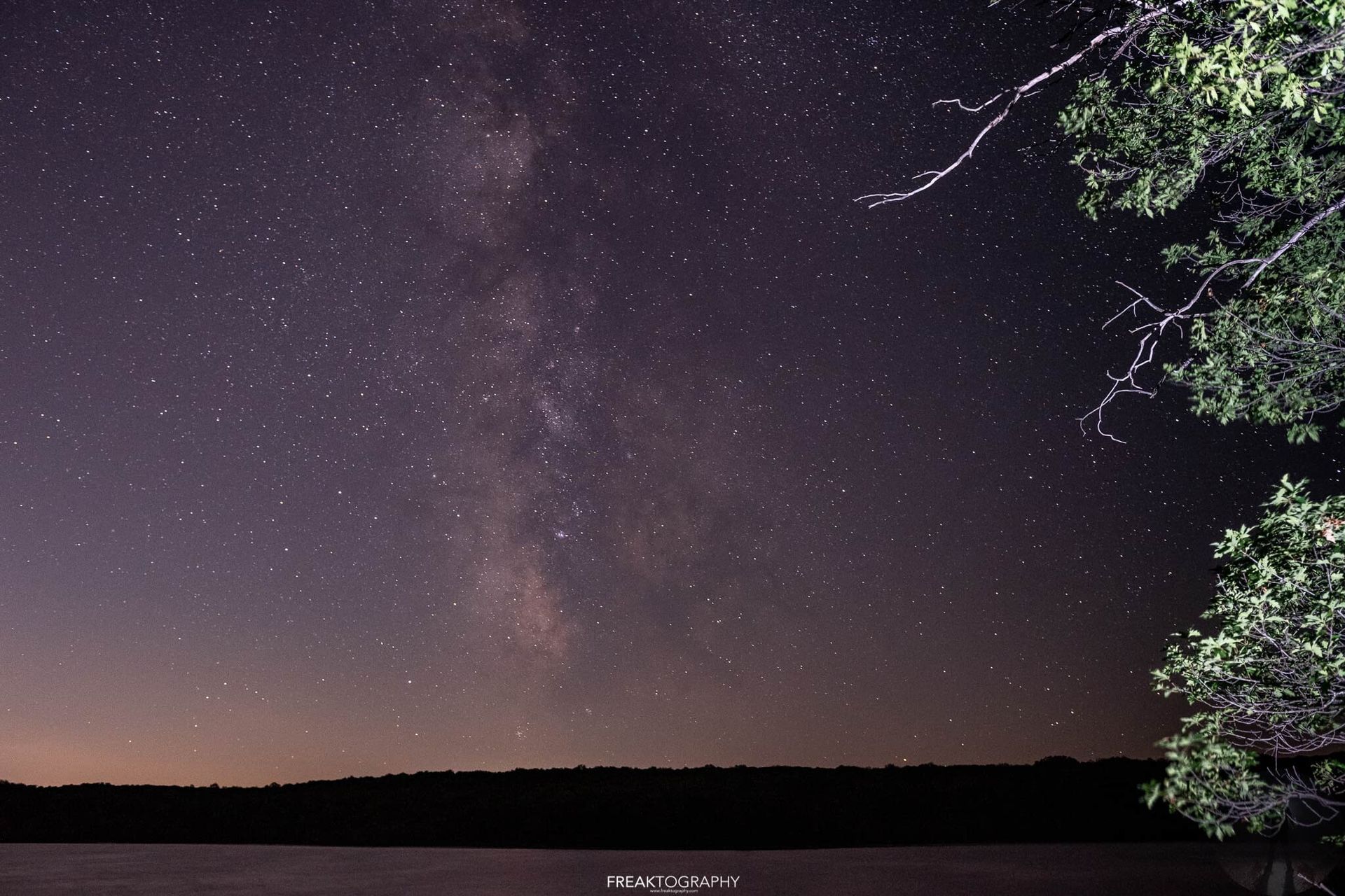 A starry night sky over a lake with a tree in the foreground
