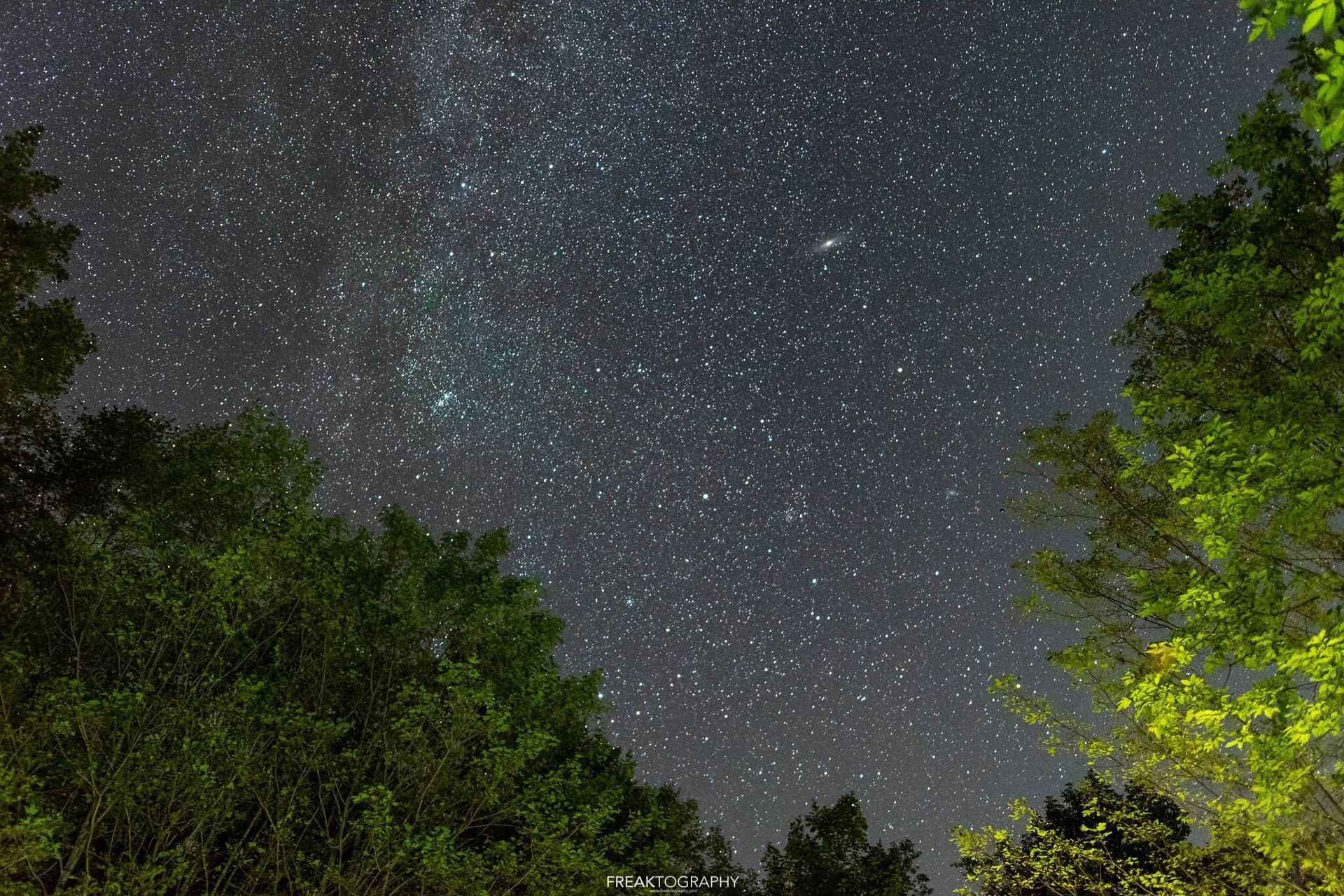 A starry night sky with trees in the foreground